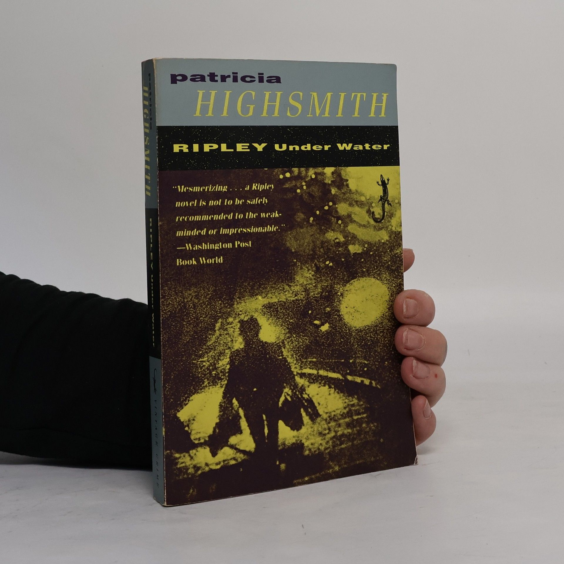 Patricia Highsmith Ripley Under Water