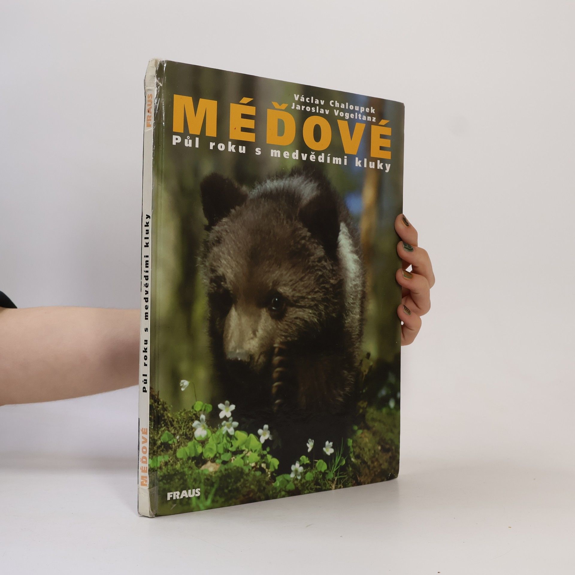 Václav Chaloupek Méďové. Půl roku s medvědími kluky