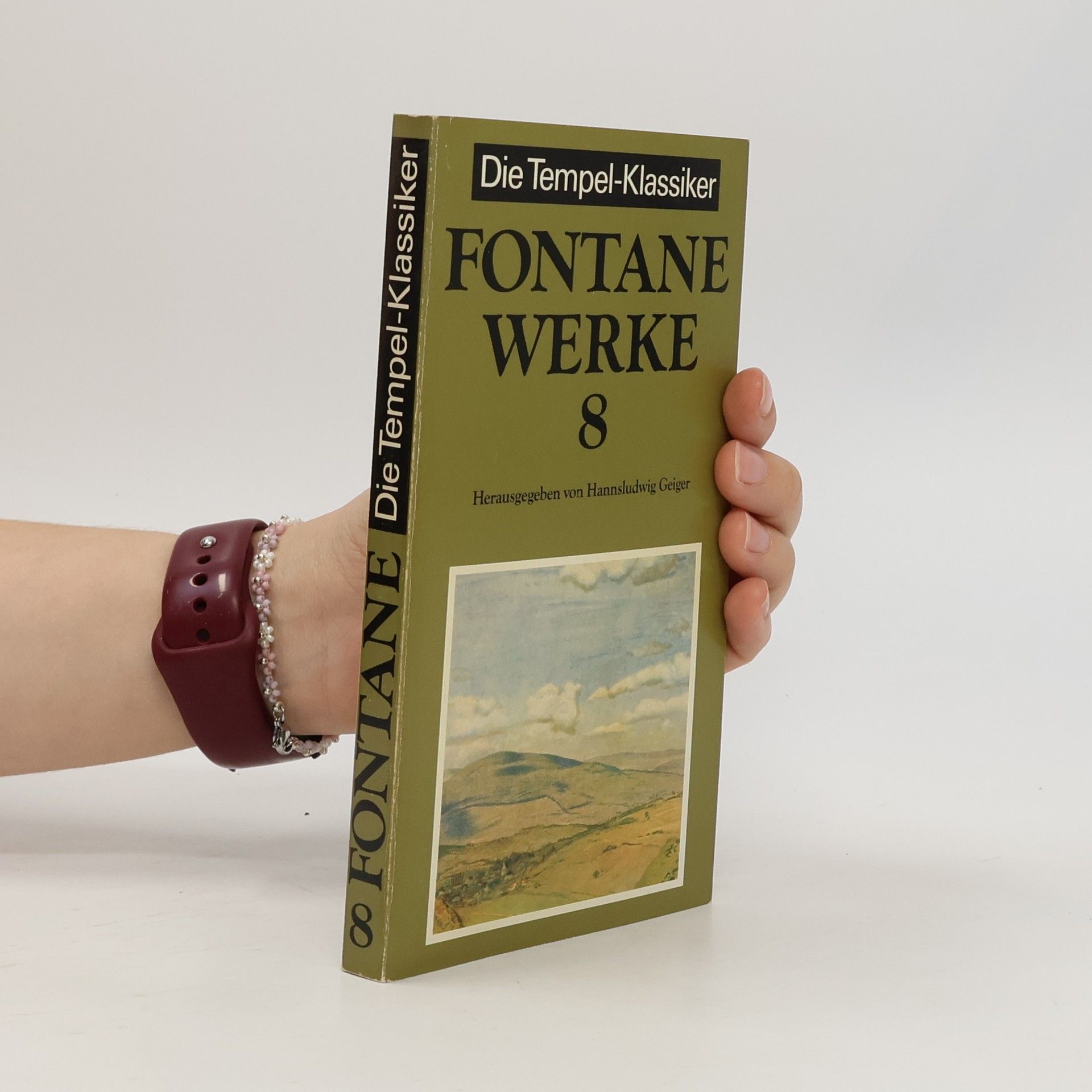 Theodor Fontane Werke 8