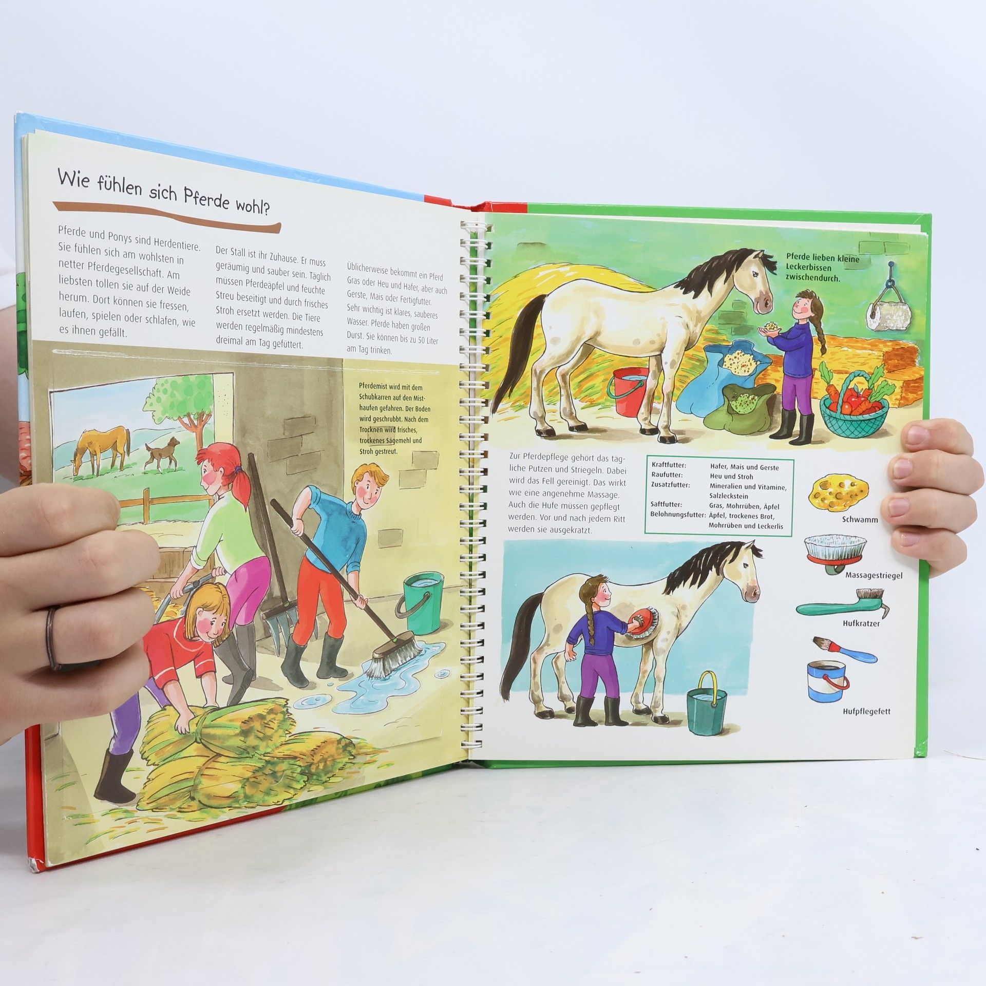 Autorenkollektiv MiniMaxiWissen: Pferde und Ponys