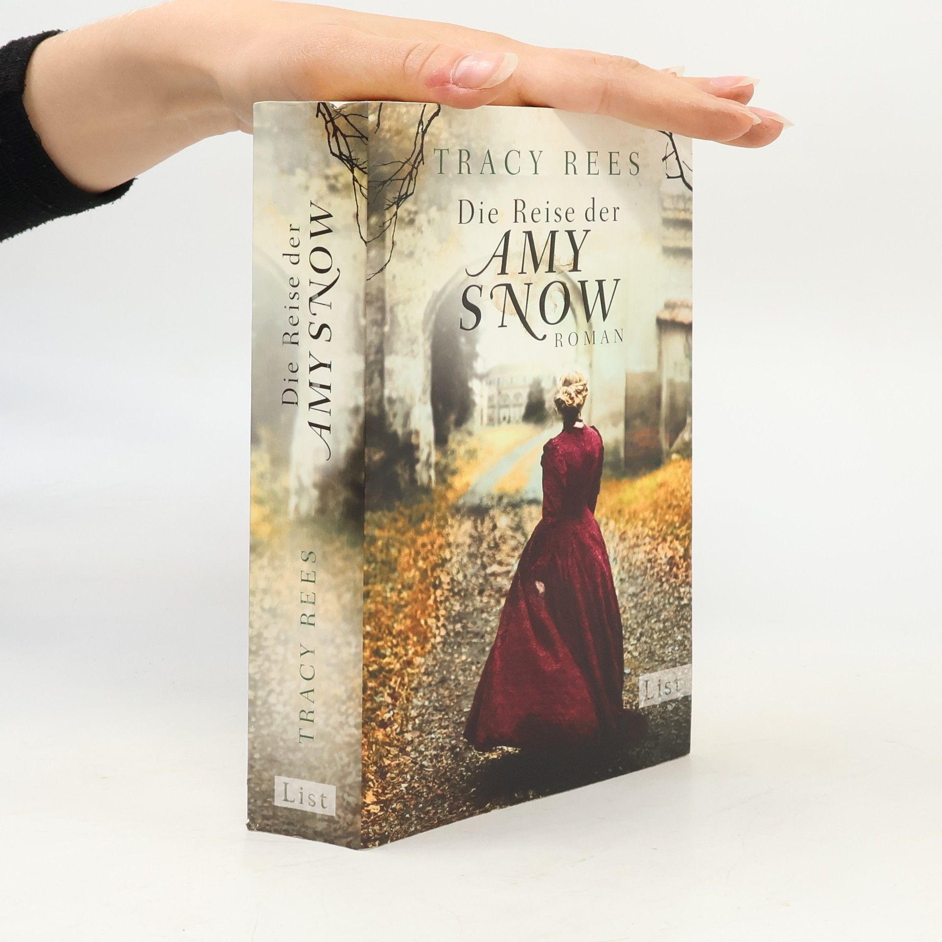 Tracy Rees Die Reise der Amy Snow