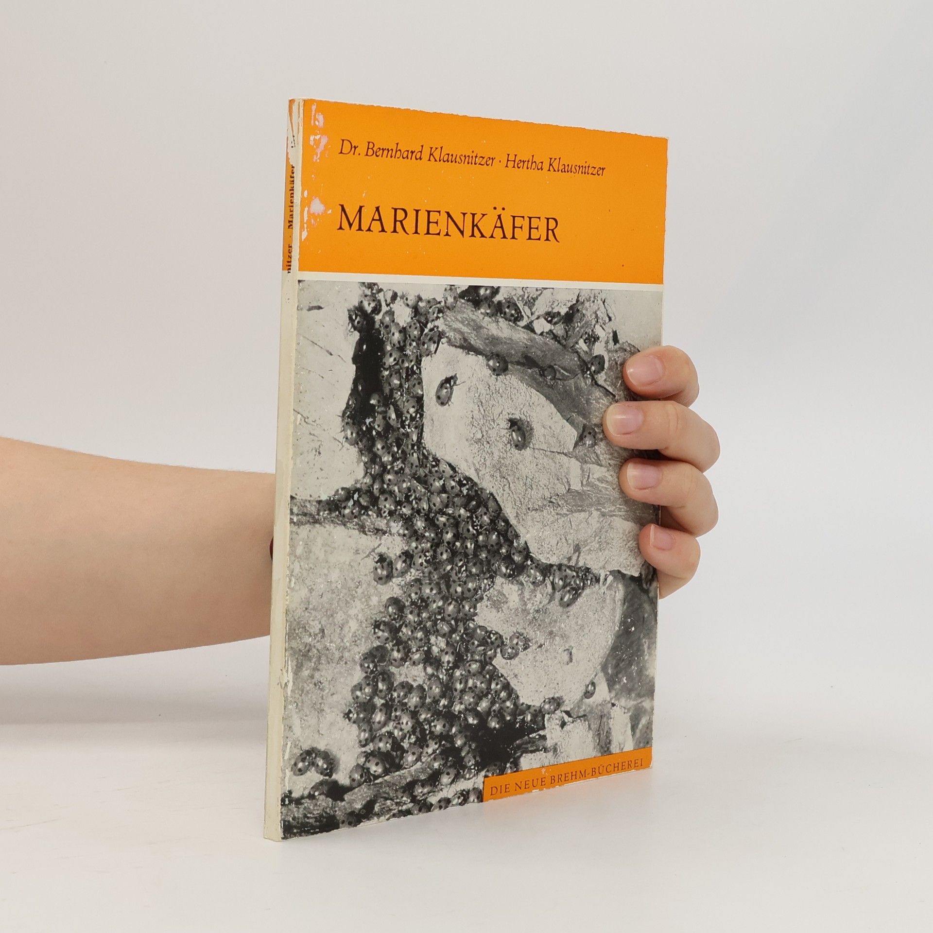 Marienkäfer