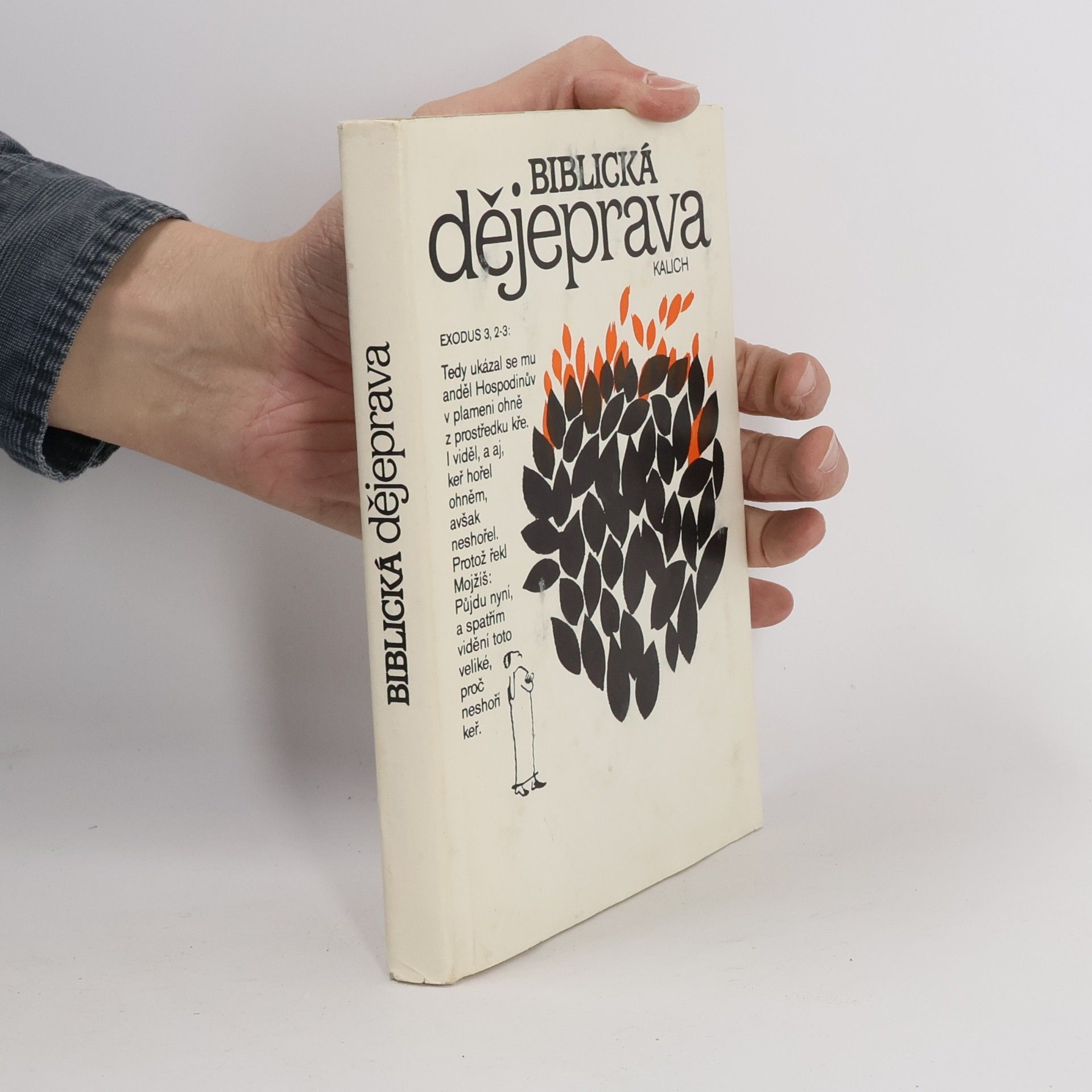 Autorenkollektiv Biblická dějeprava