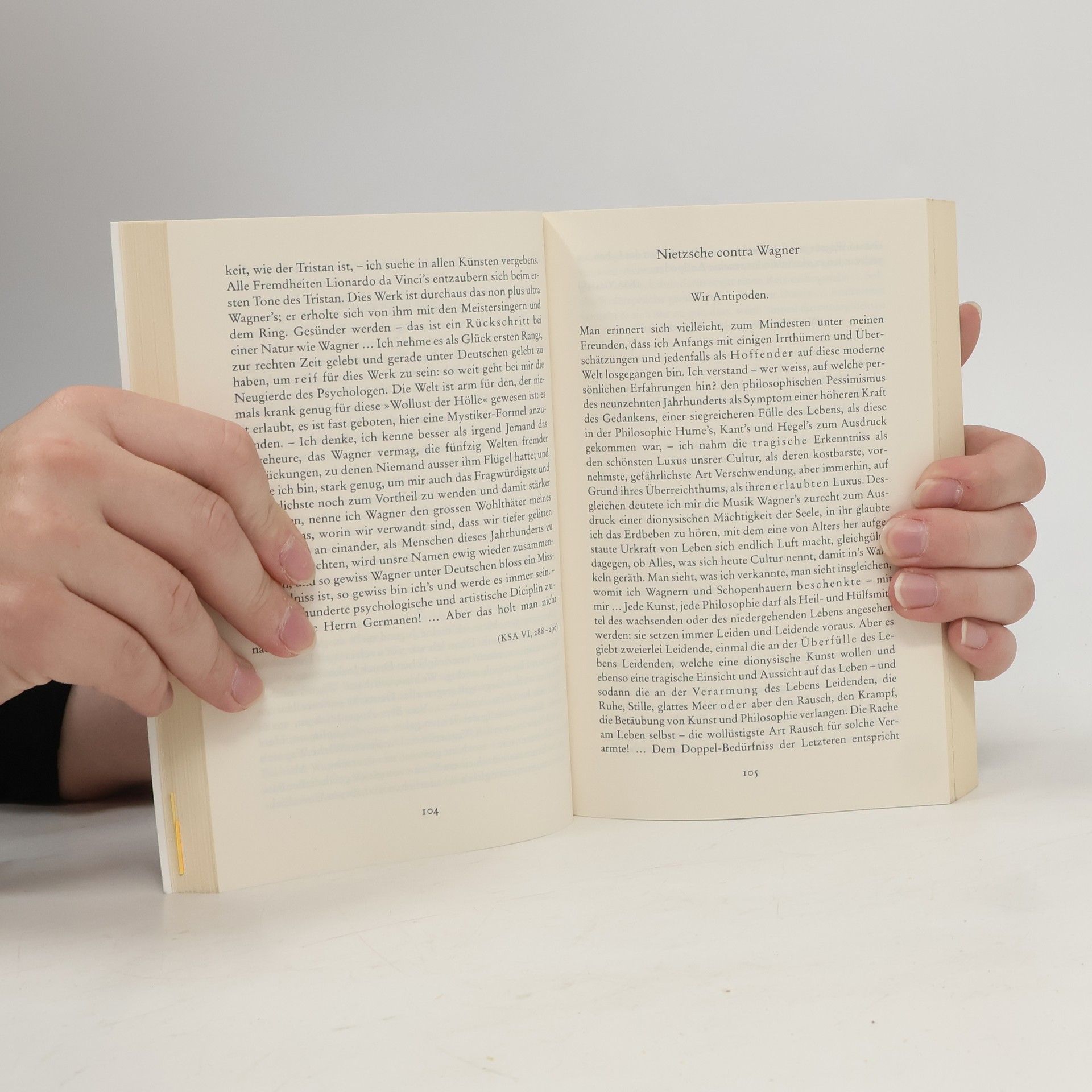 Friedrich Wilhelm Nietzsche Das große Lesebuch