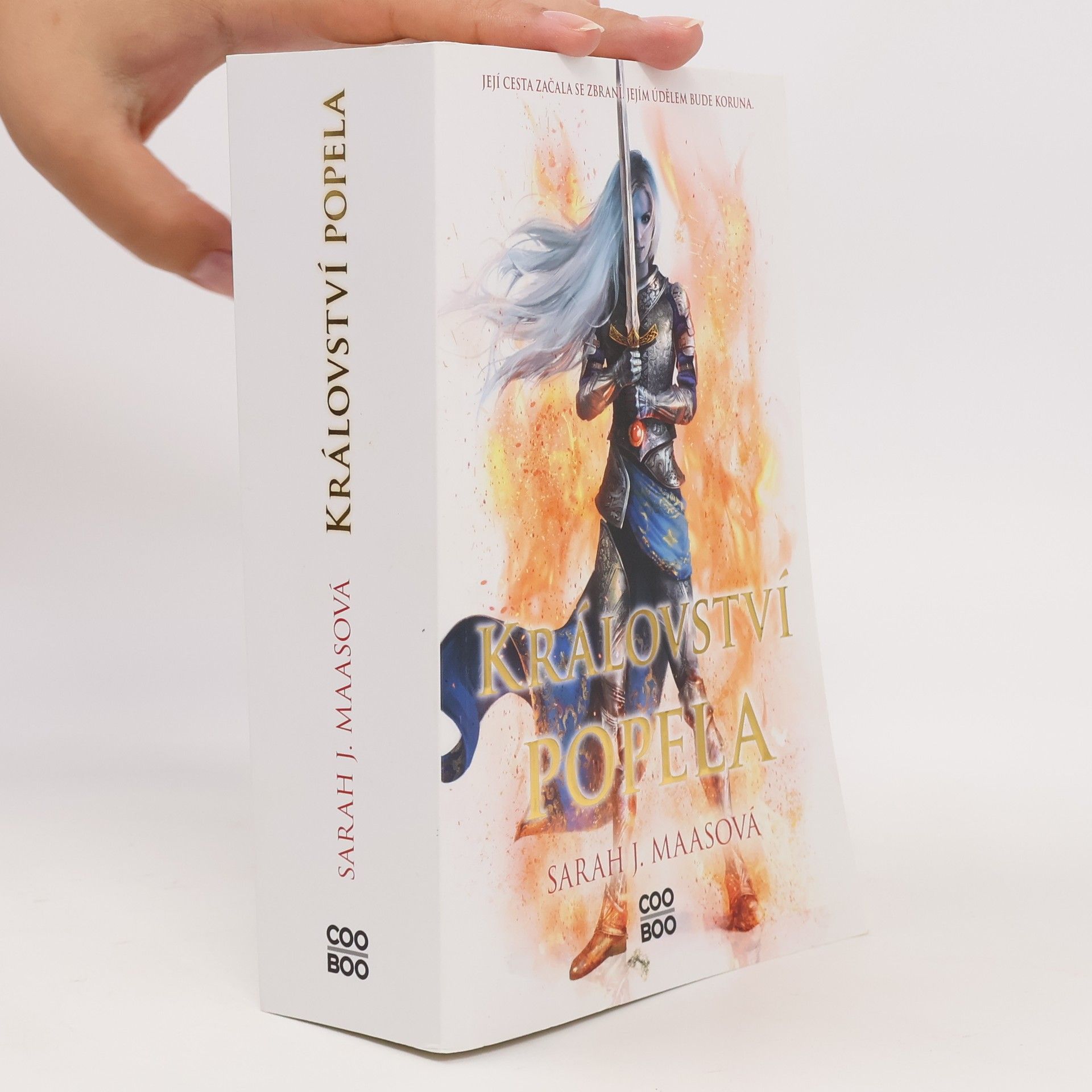 Sarah J. Maas Království popela