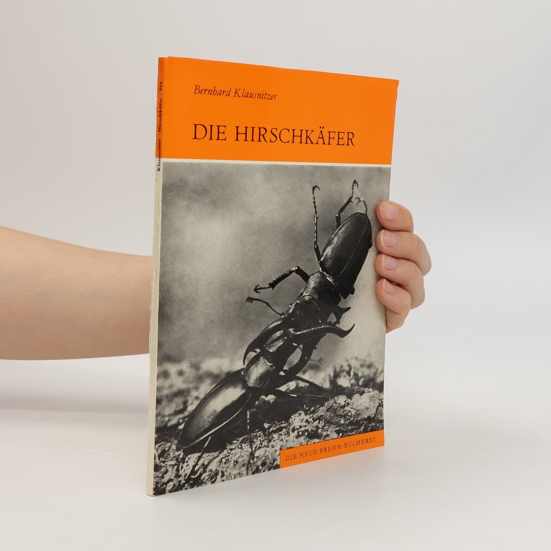 Die Hirschkäfer