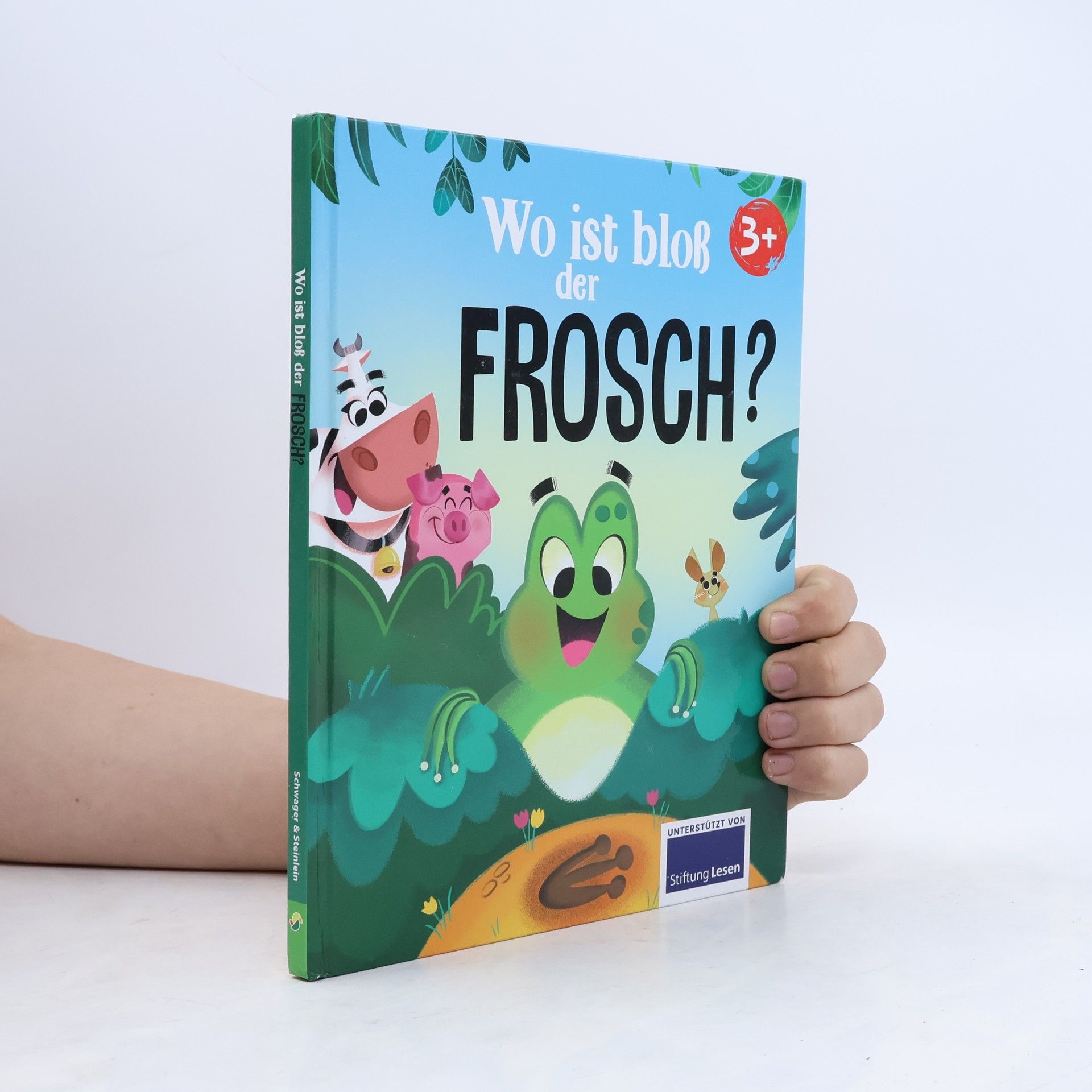 Valentina Schöttes Wo ist bloß der Frosch?