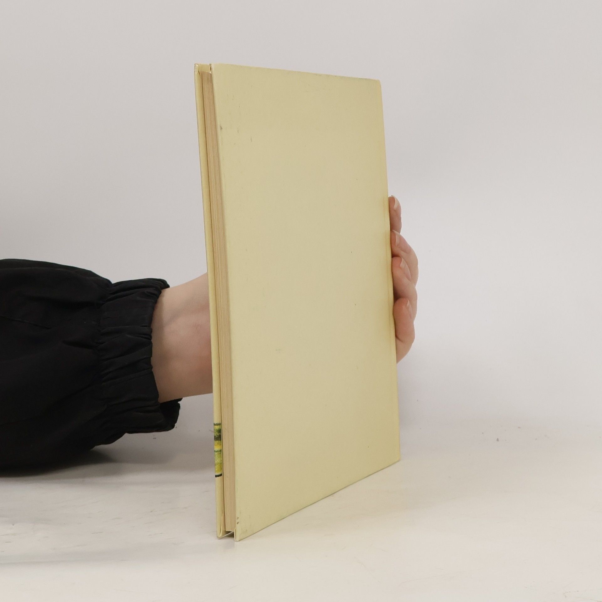 Joachim Ringelnatz Kinder-Verwirr-Buch