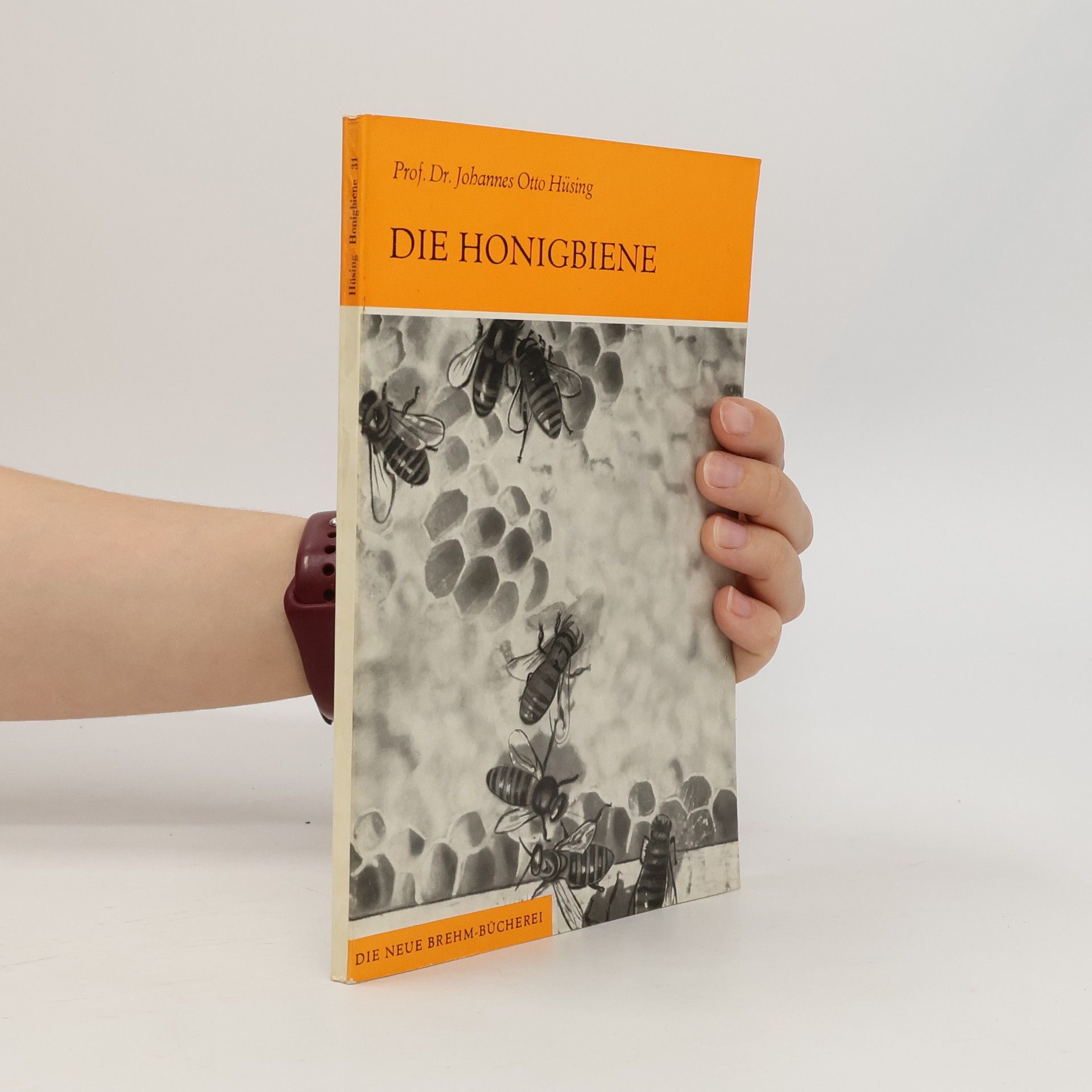 Johannes Otto Hüsing Die Honigbiene