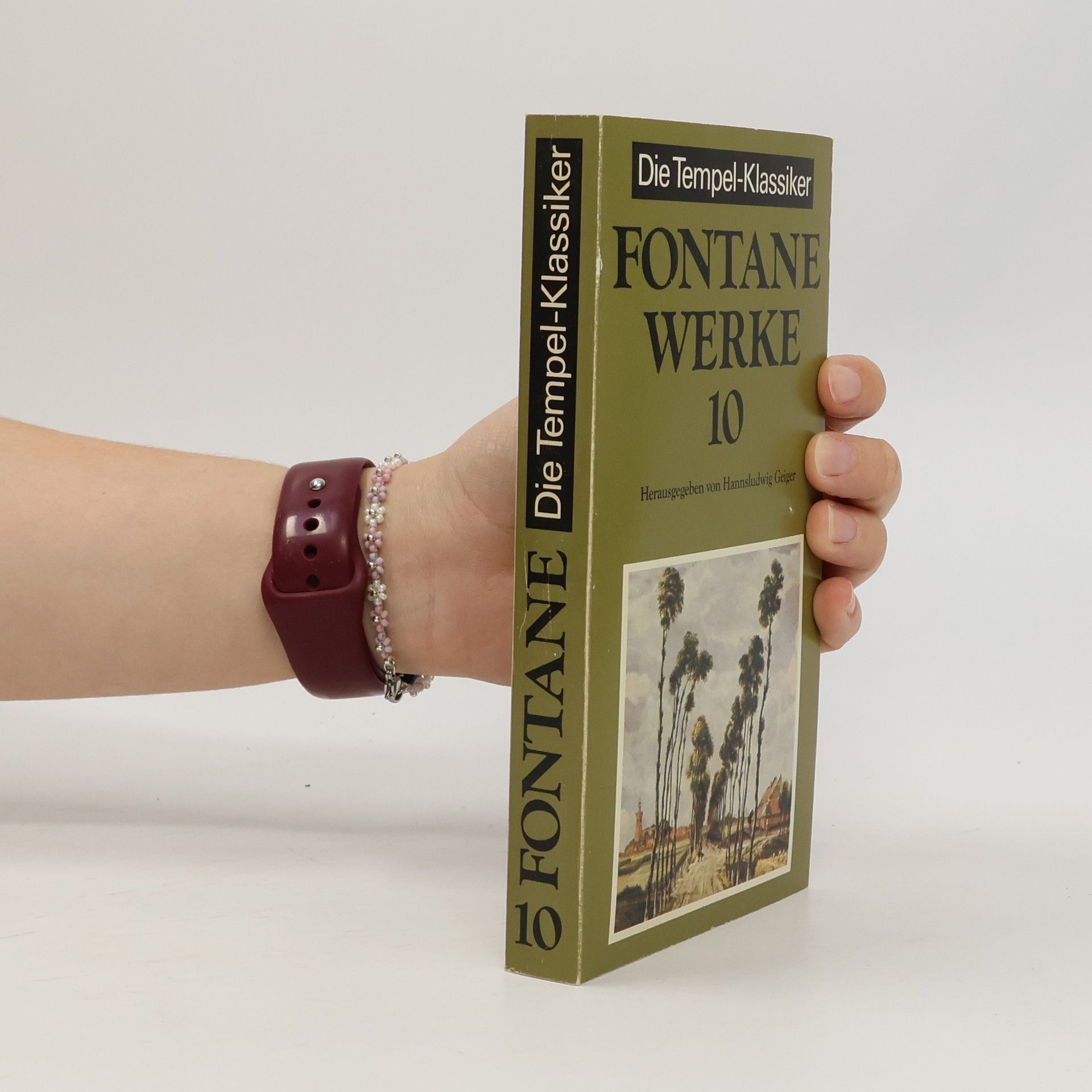 Theodor Fontane Werke 10