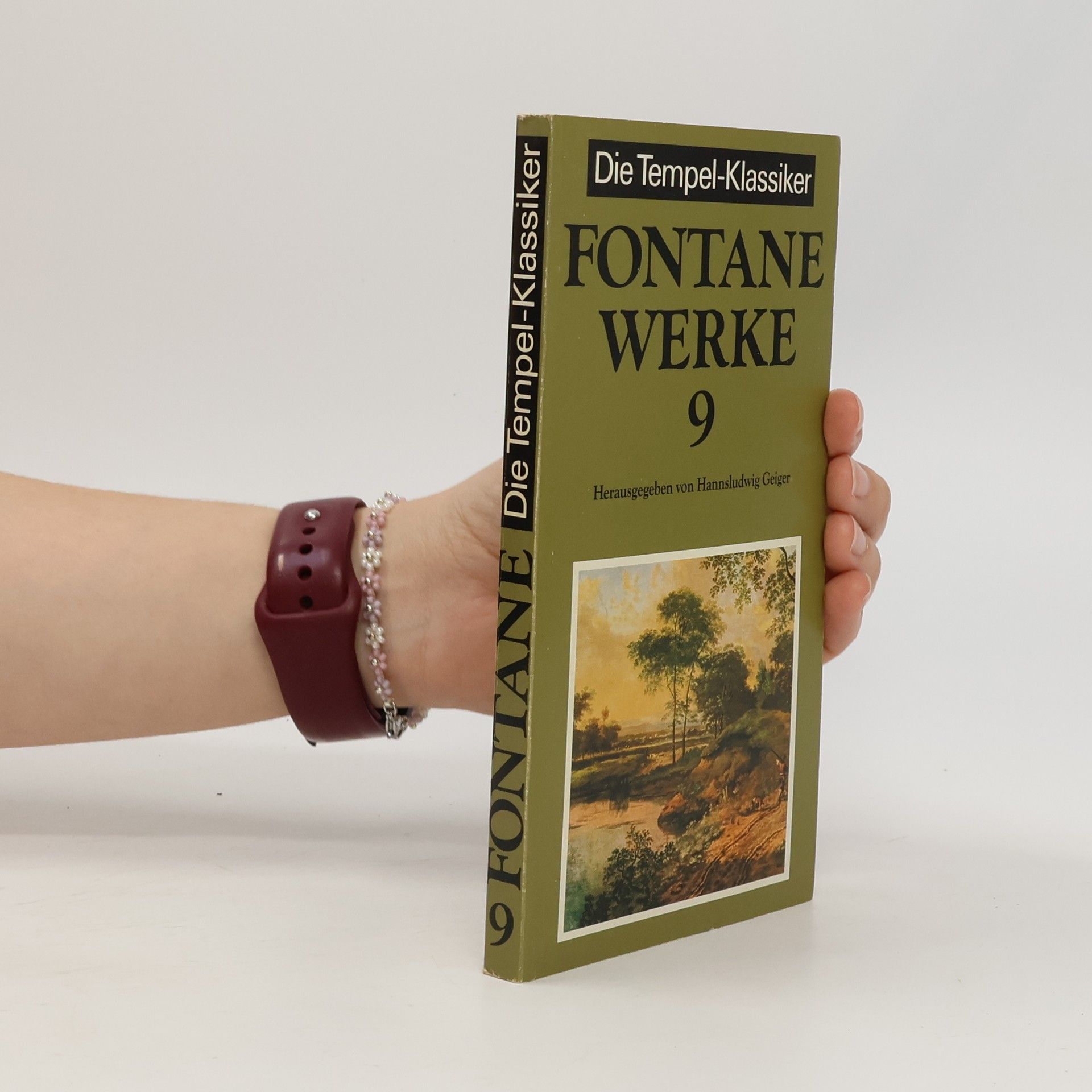 Theodor Fontane Werke 9