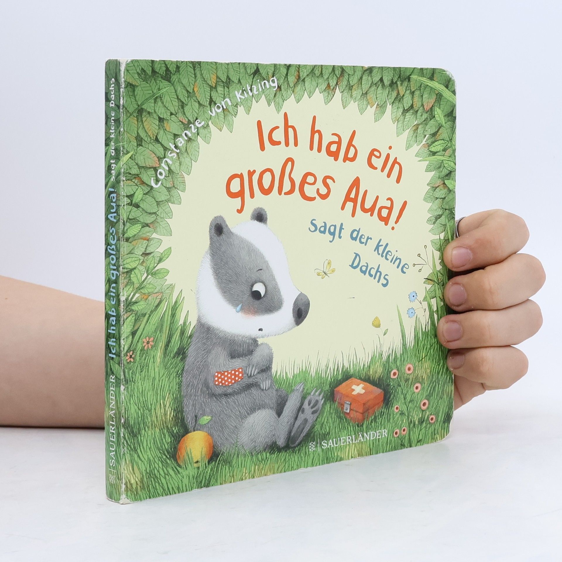 Autores varios "Ich hab ein großes Aua", sagt der kleine Dachs (Trost-Buch)