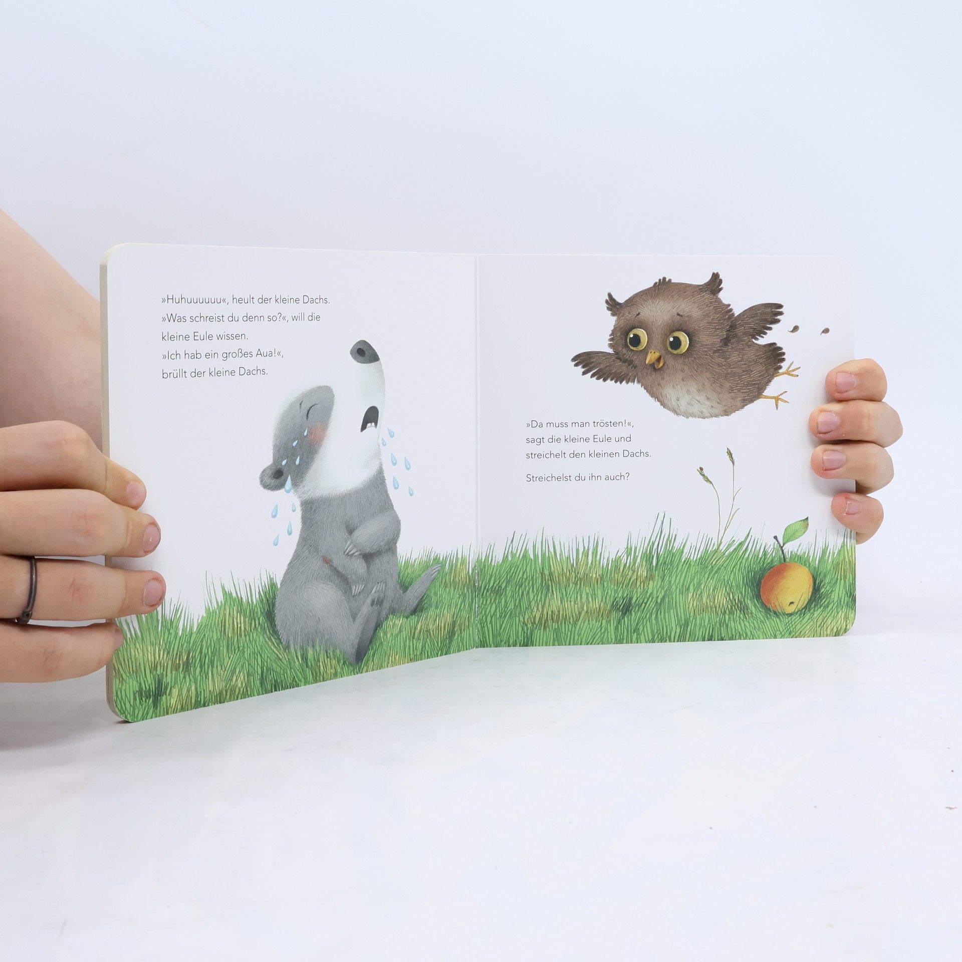 Autores varios "Ich hab ein großes Aua", sagt der kleine Dachs (Trost-Buch)