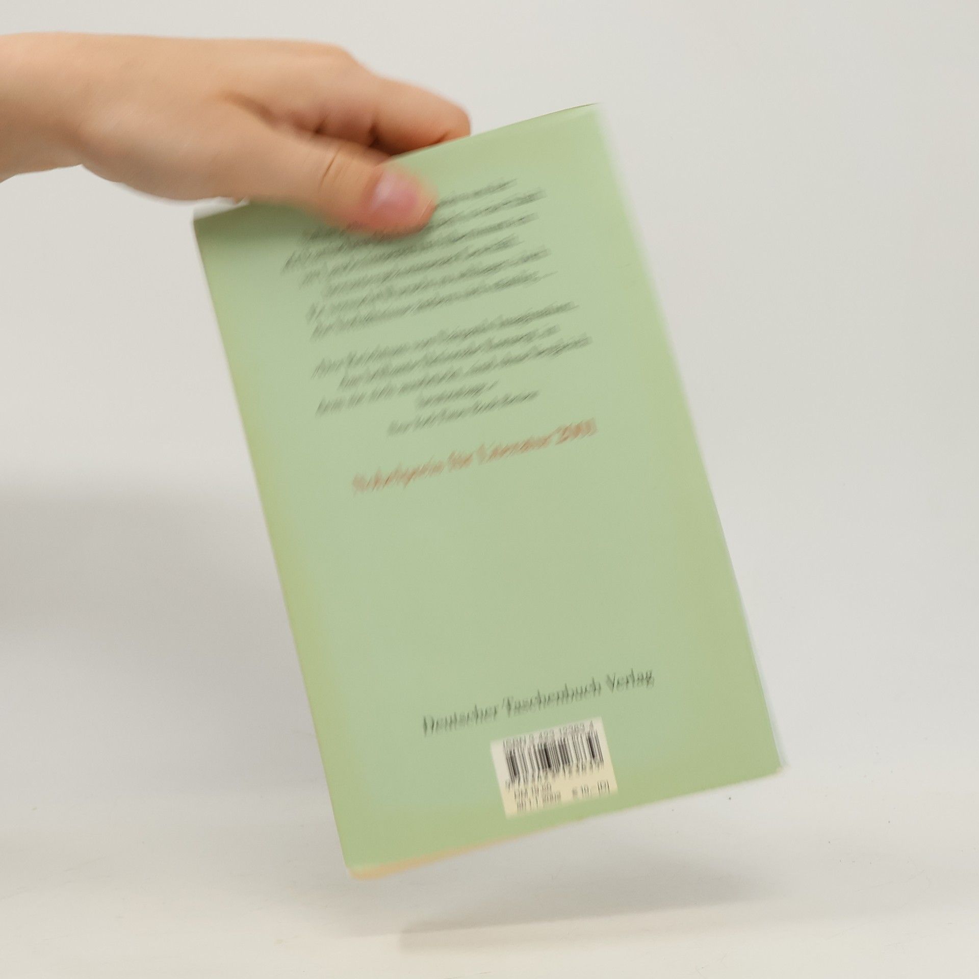 V. S. Naipaul An der Biegung des großen Flusses