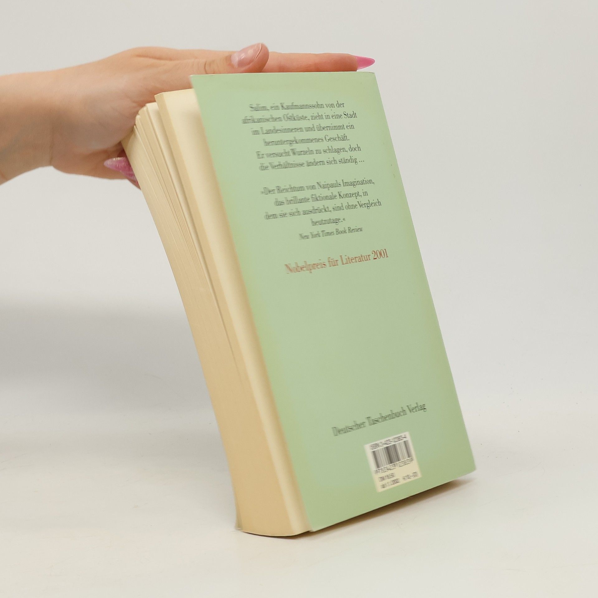 V. S. Naipaul An der Biegung des großen Flusses