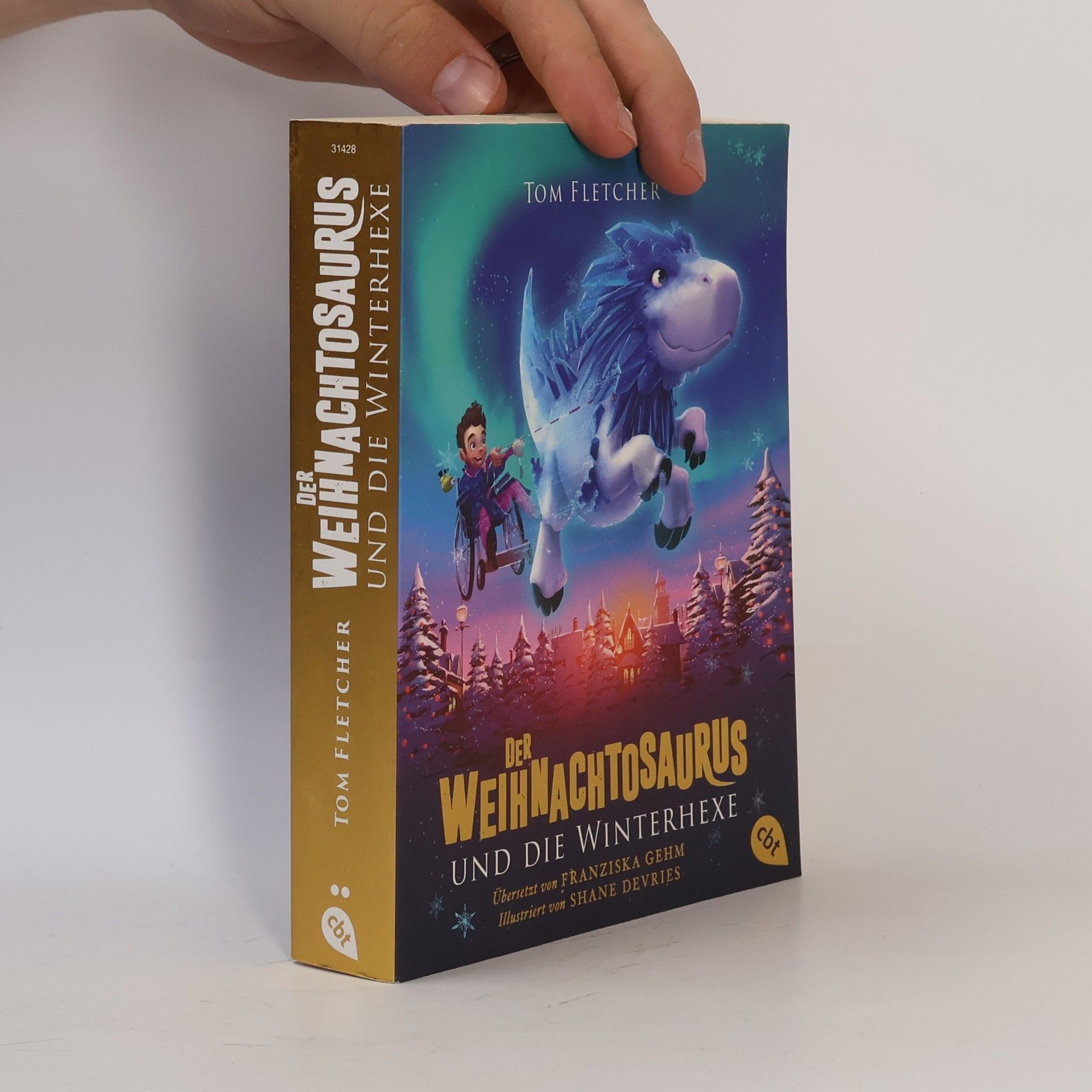 Tom Fletcher Der Weihnachtosaurus und die Winterhexe