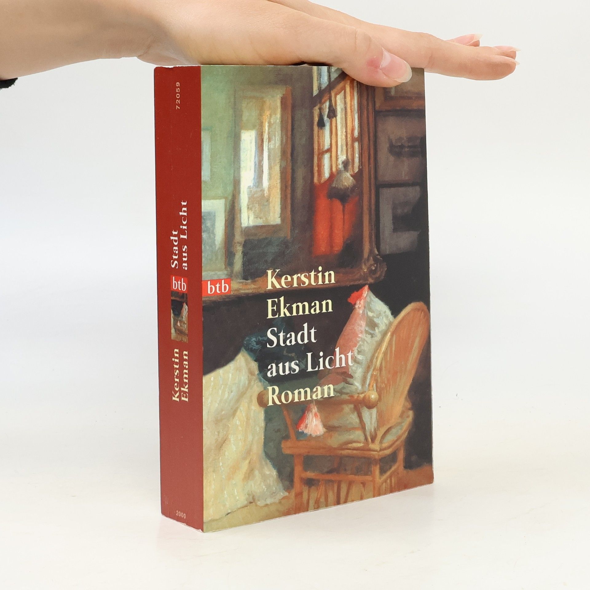 Kerstin Ekman Stadt aus Licht