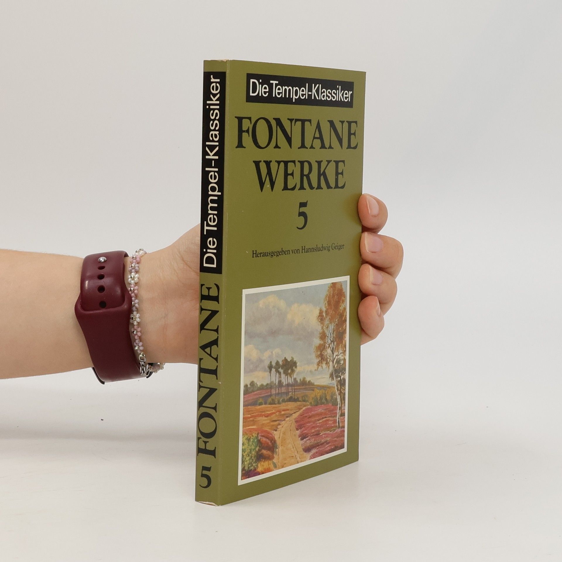Theodor Fontane Werke 5