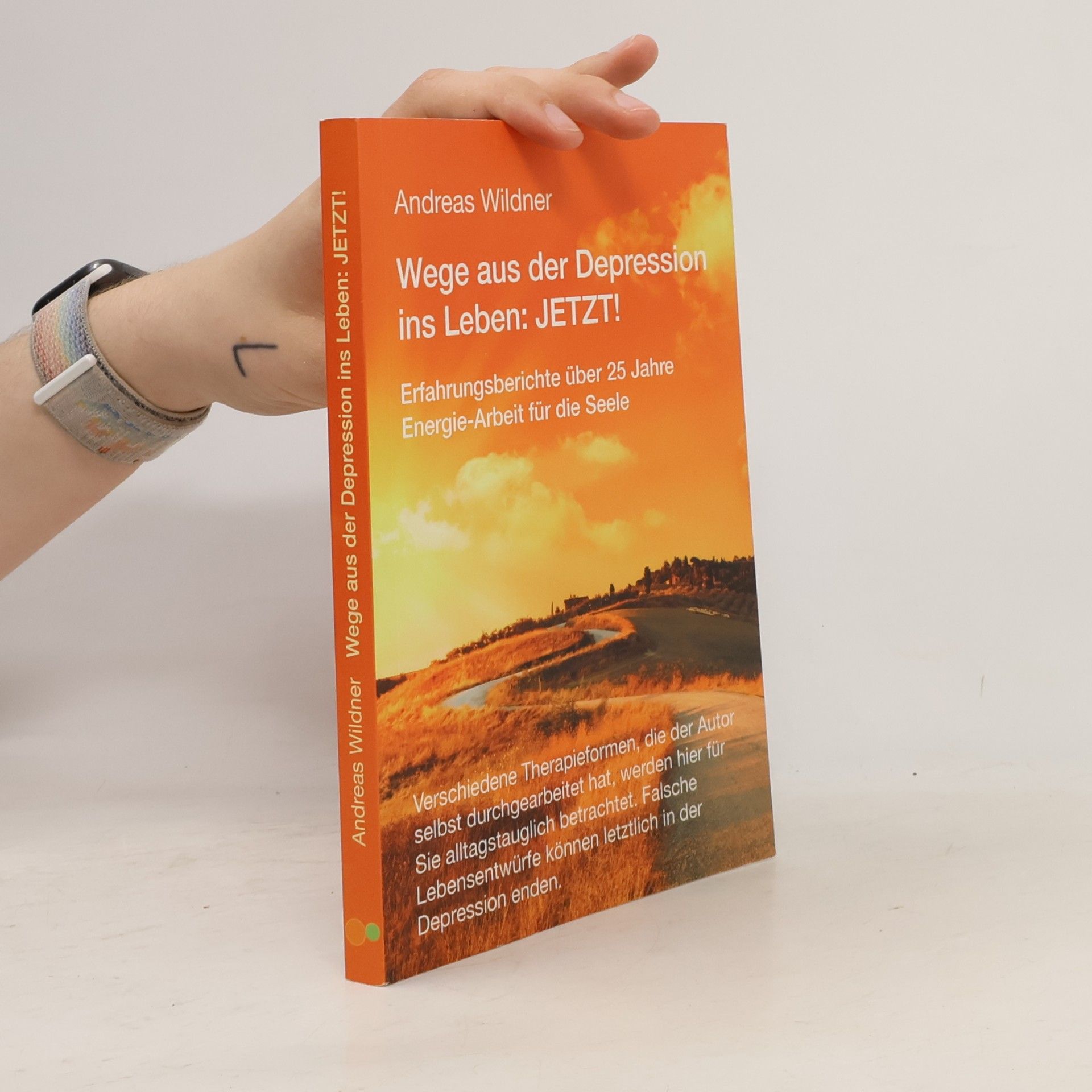 Andreas Wildner Wege aus der Depression ins Leben: JETZT!