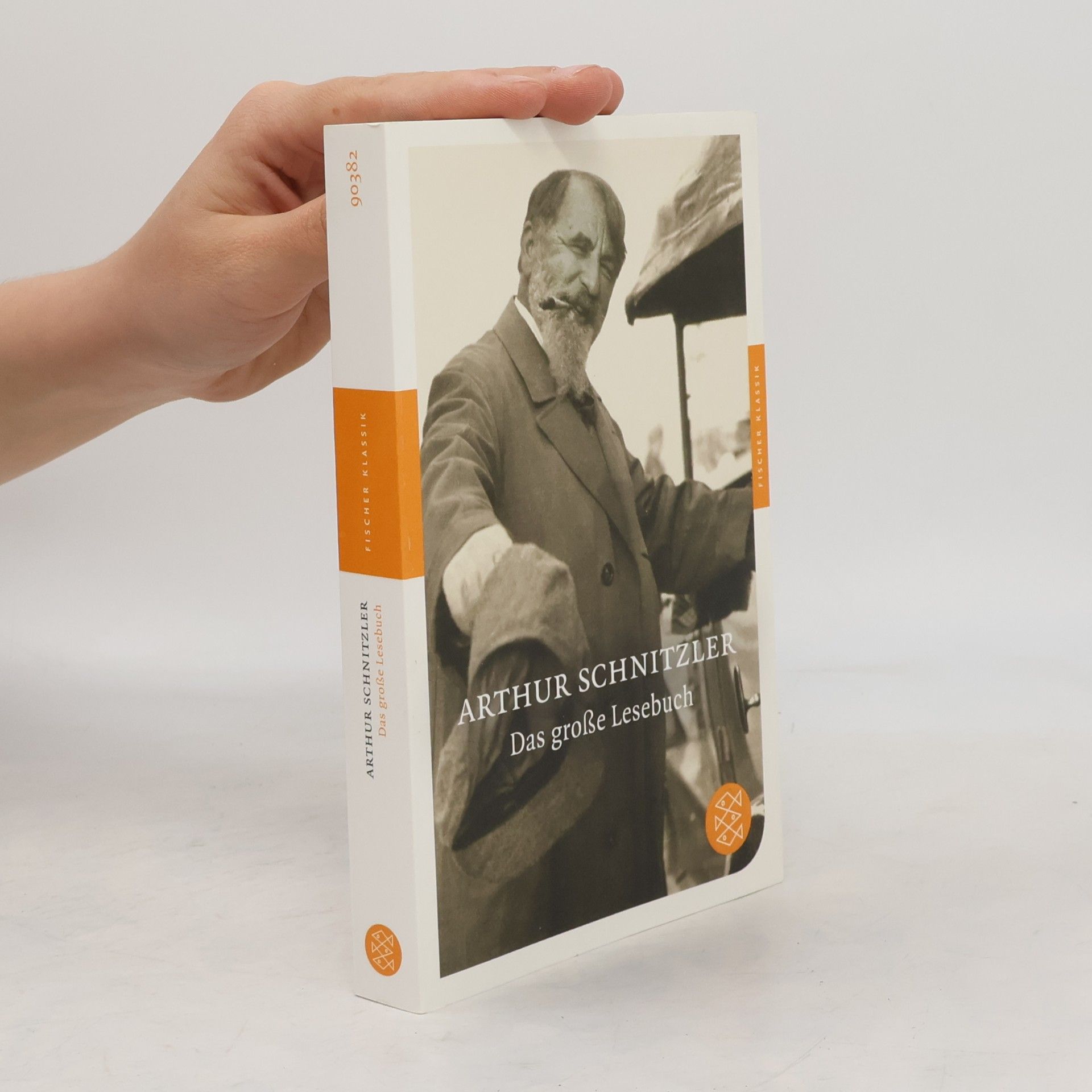 Arthur Schnitzler Das große Lesebuch