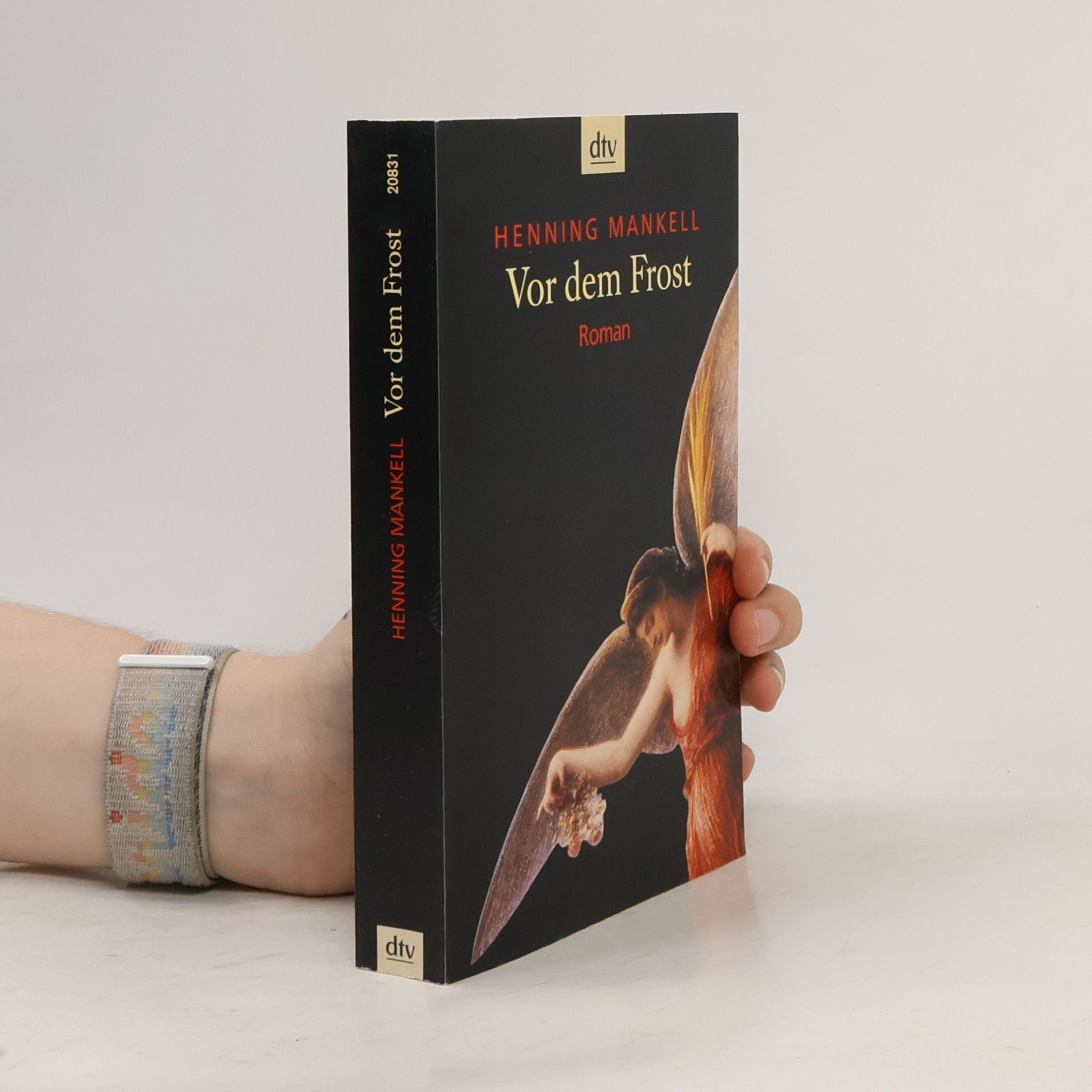 Henning Mankell Vor dem Frost
