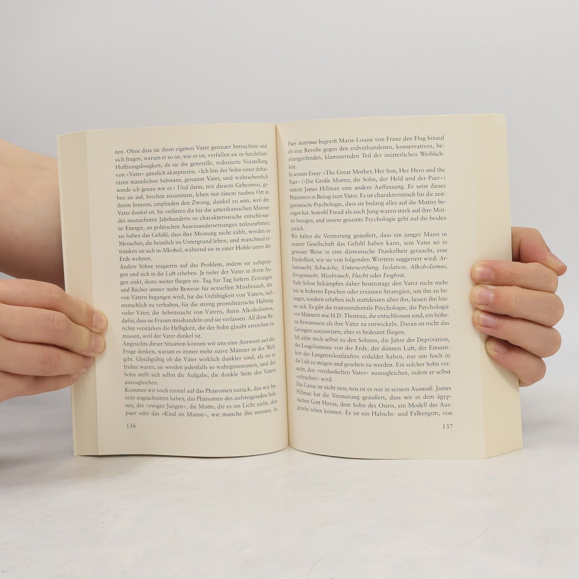 Robert Bly Eisenhans