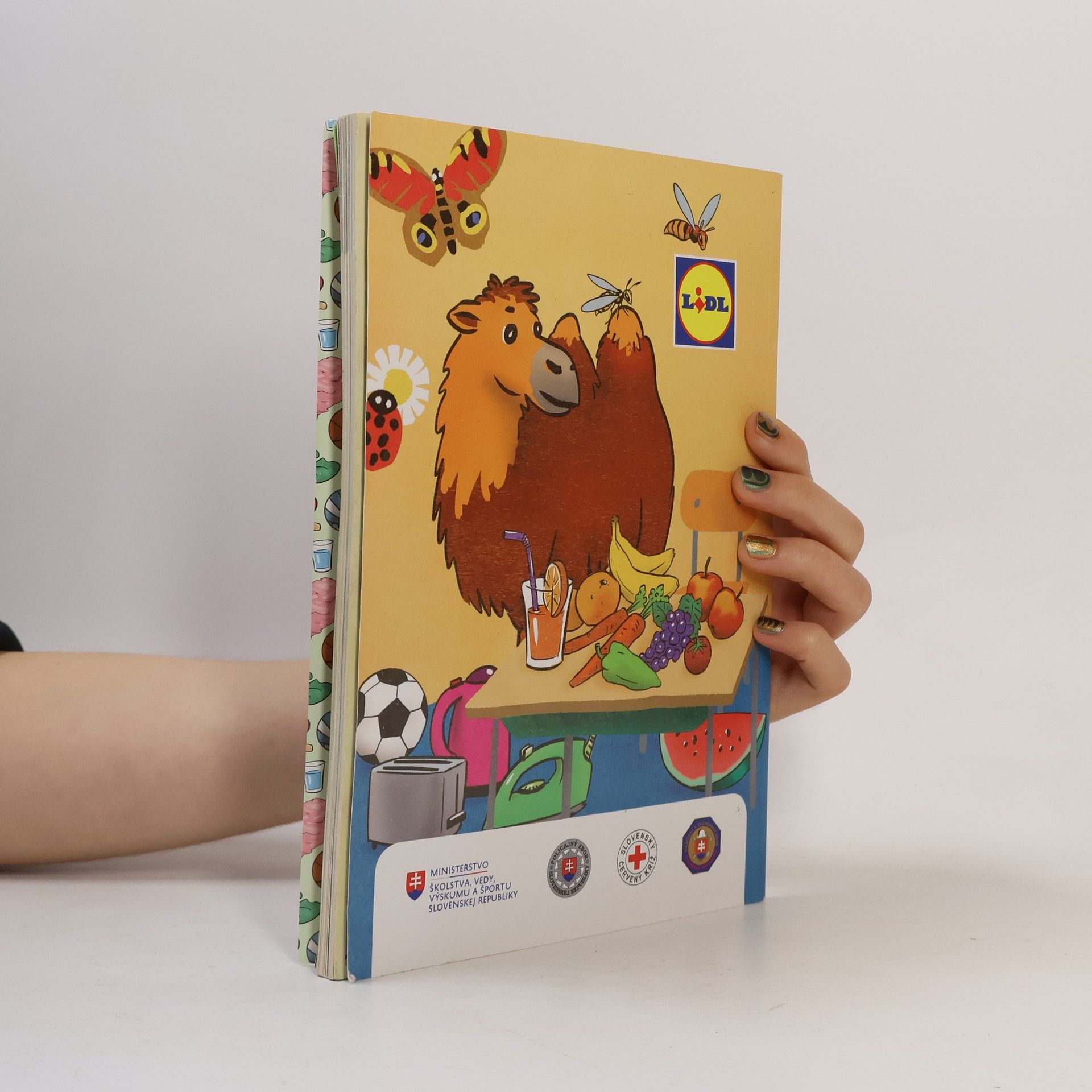 Katarína Noskajová Kamil a psík zdravotník