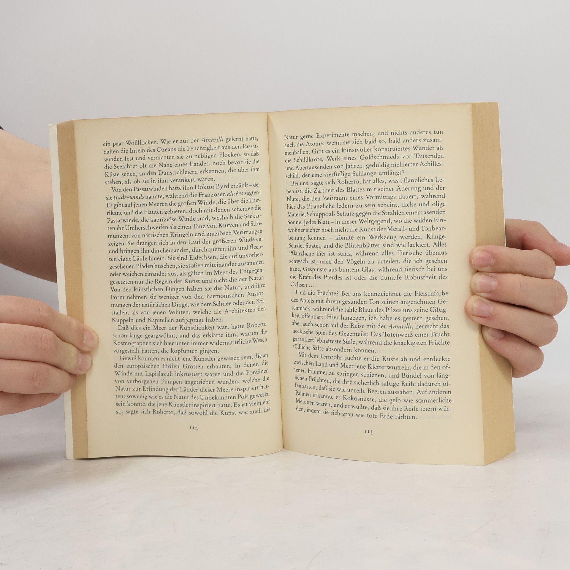 Umberto Eco Die Insel des vorigen Tages