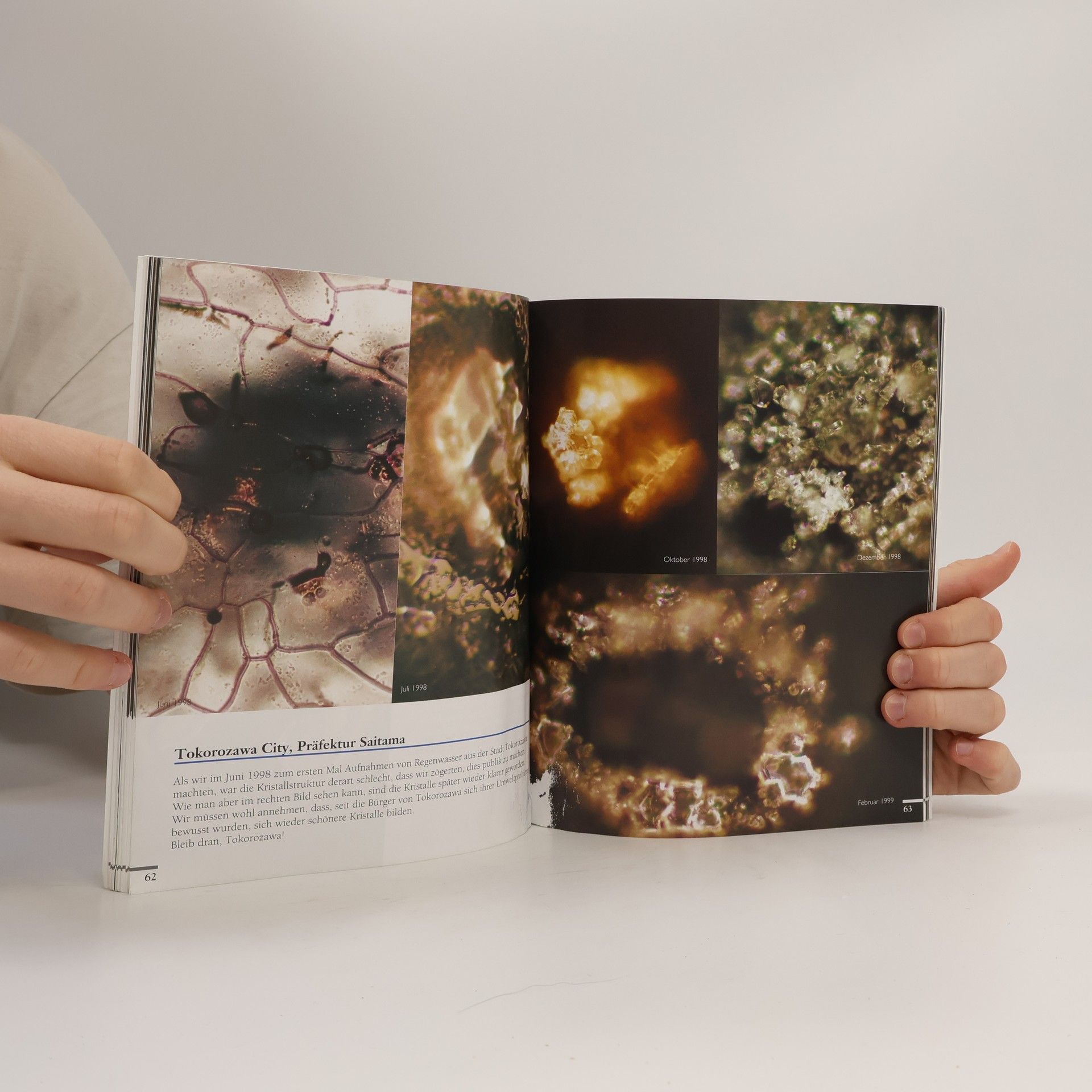 Masaru Emoto Die Botschaft des Wassers