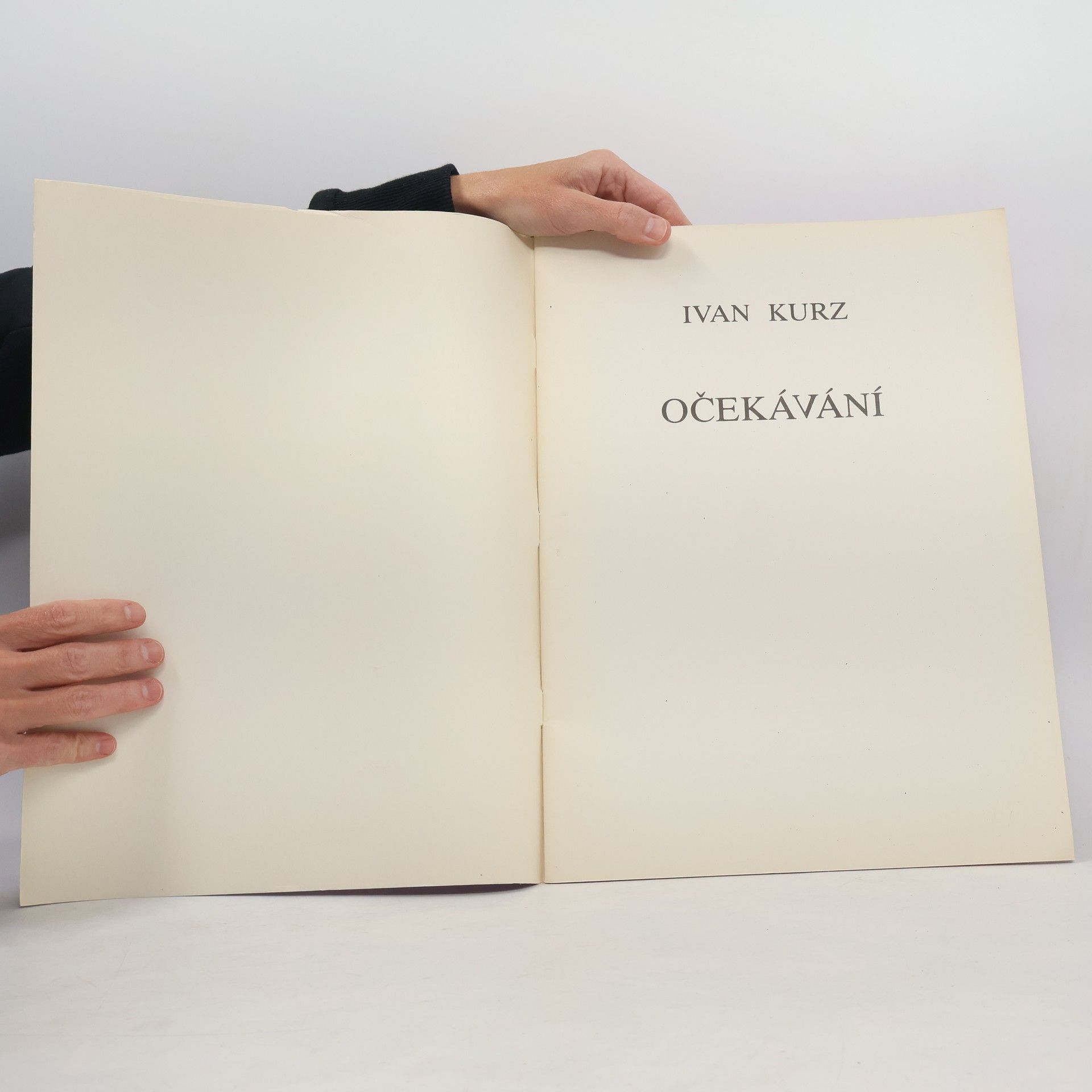 Ivan Kurz Očekávání