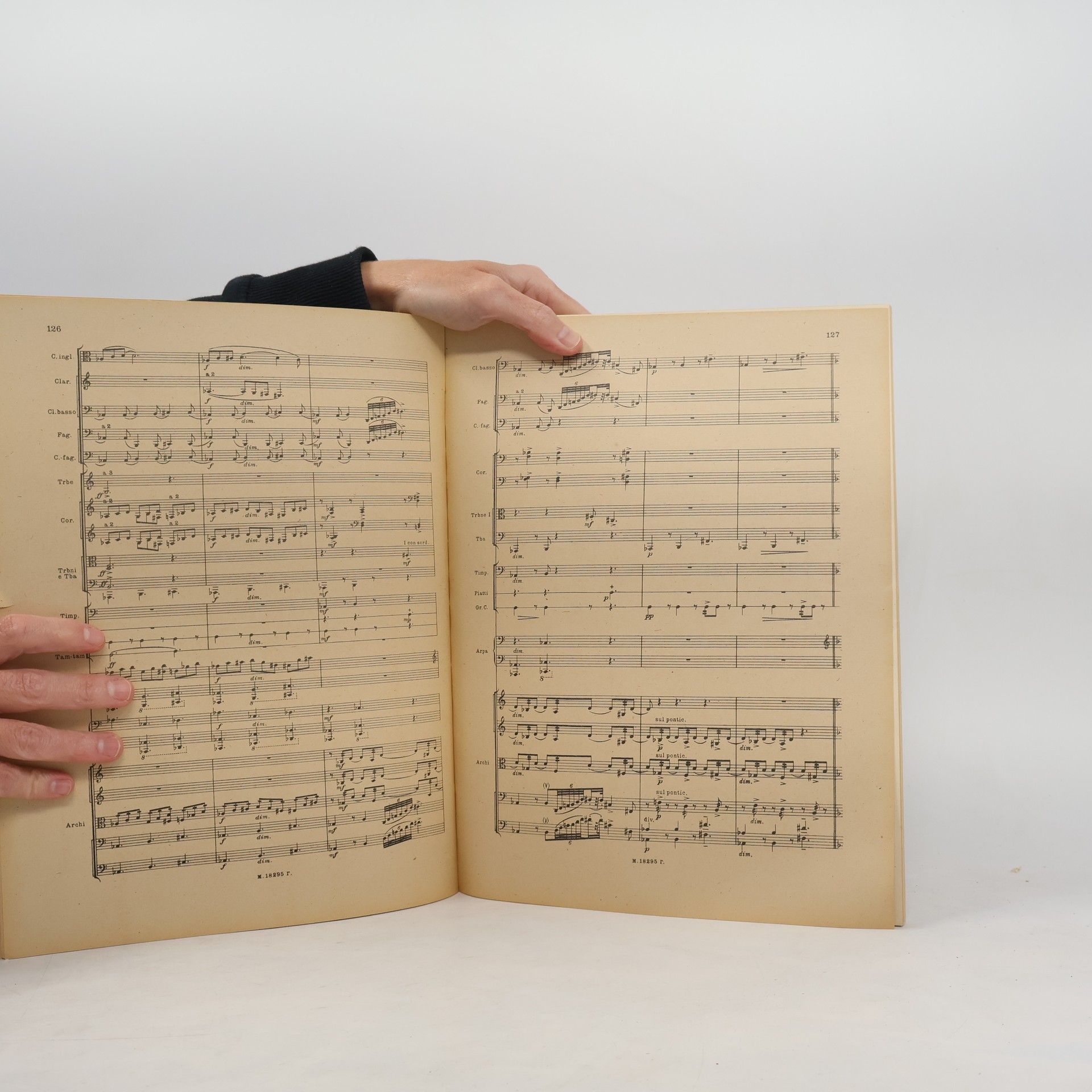 Kolektiv autorů Пятая симфония. Fifth Symphony