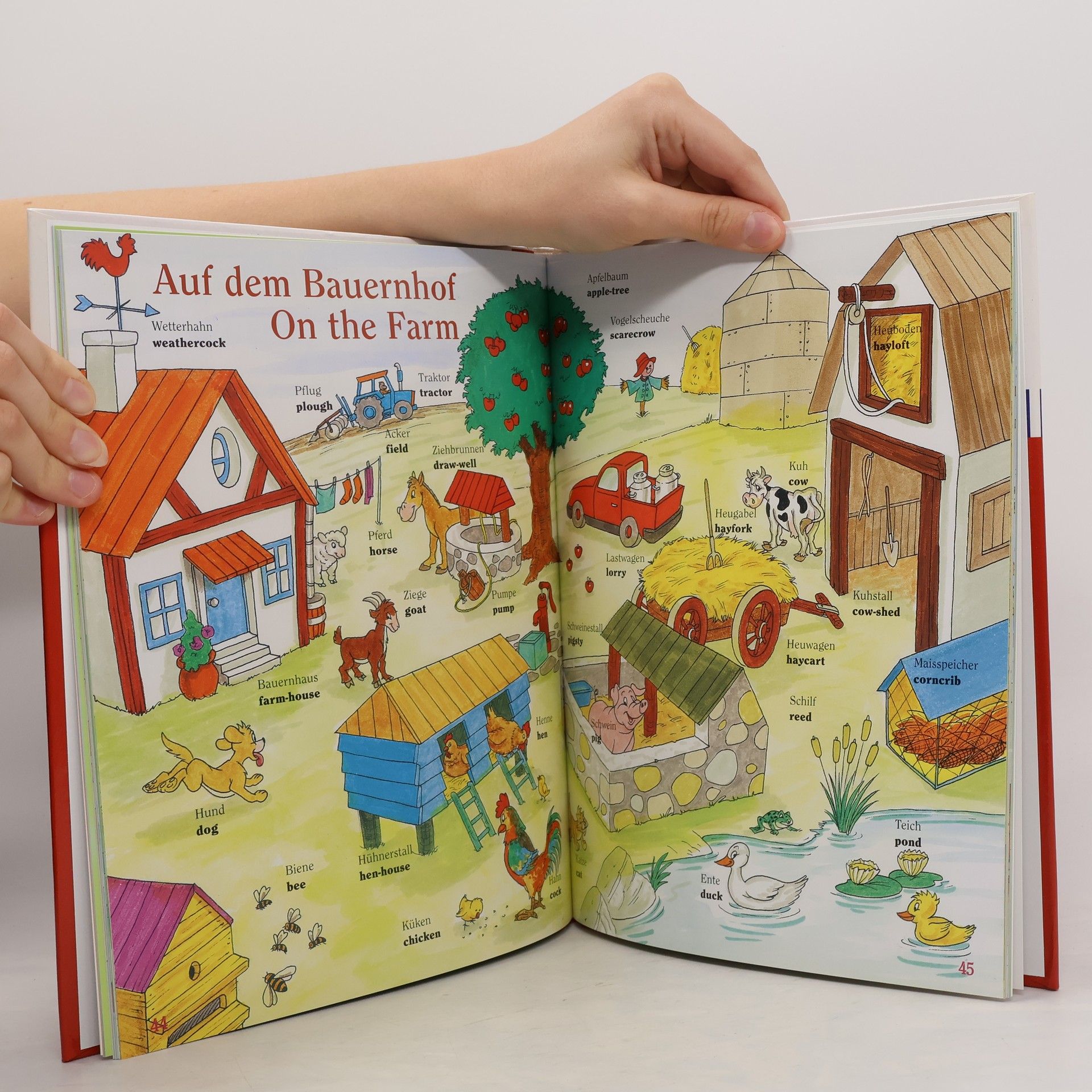 Sabine Halfar Mein allererstes Wörterbuch, English for kids ; [Wörterbuch mit Lautschrift]