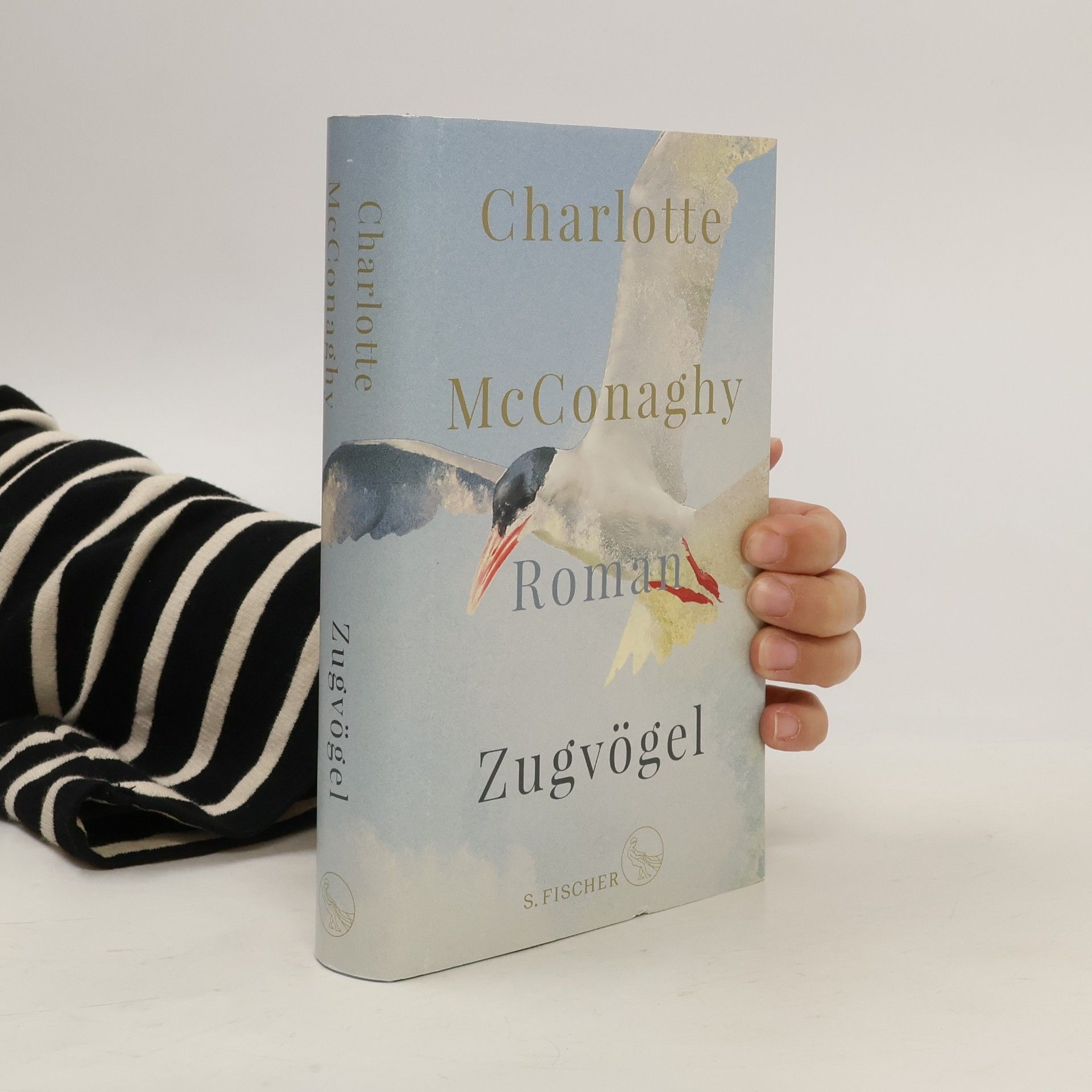 CHARLOTTE. MCCONAGHY Zugvögel