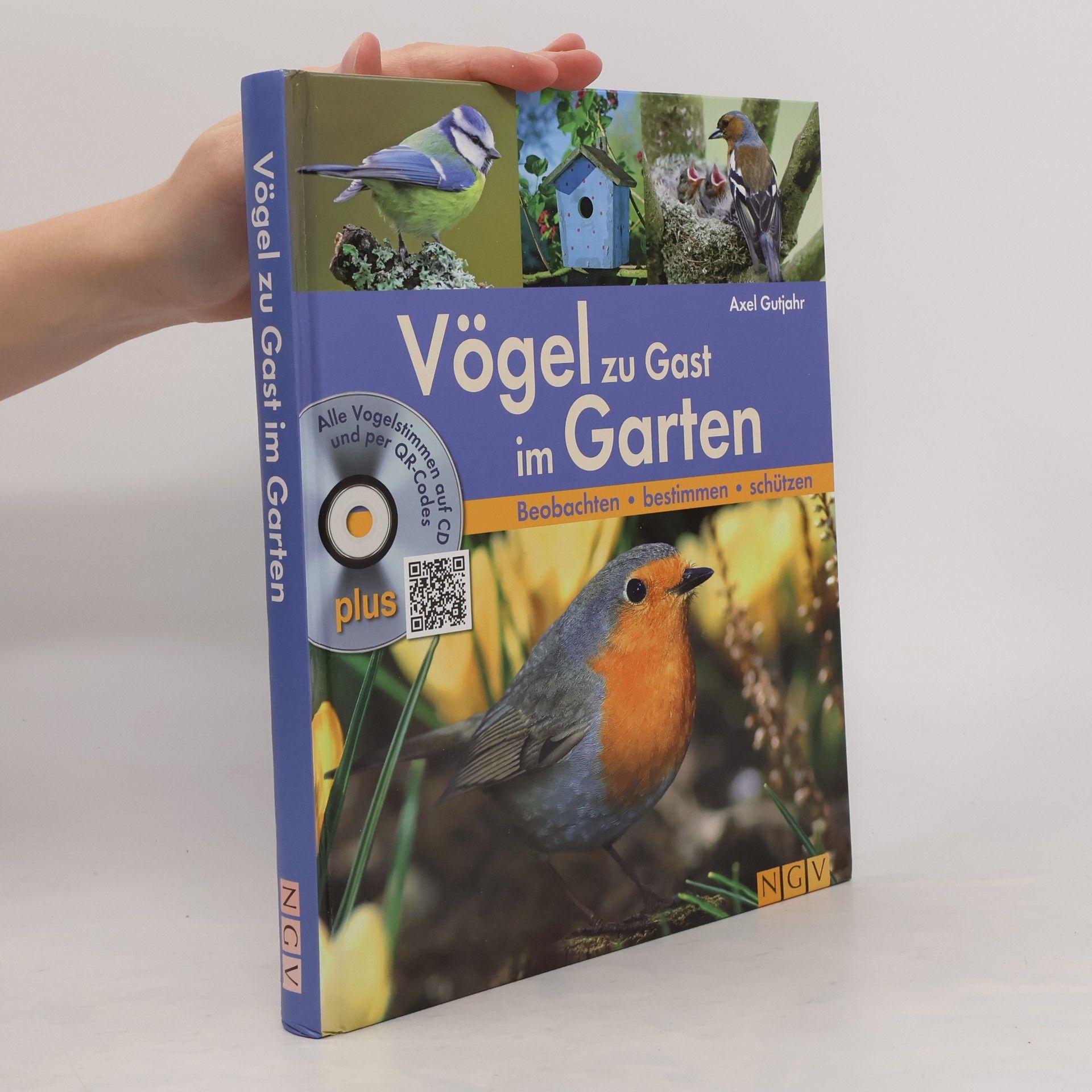 Vögel zu Gast im Garten