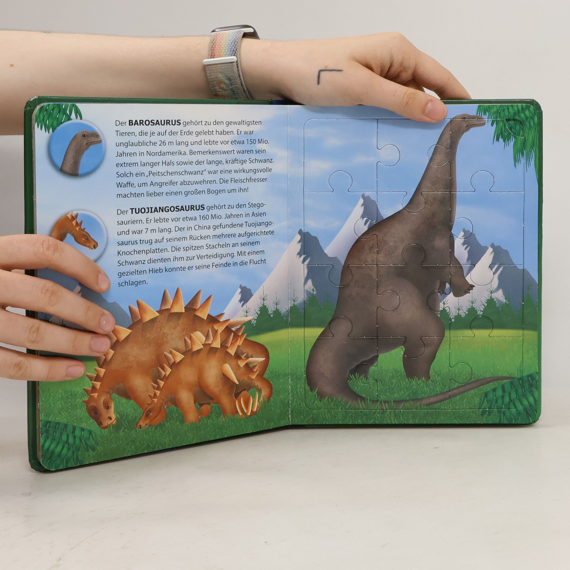 Autores varios Puzzlebuch Dinosaurier