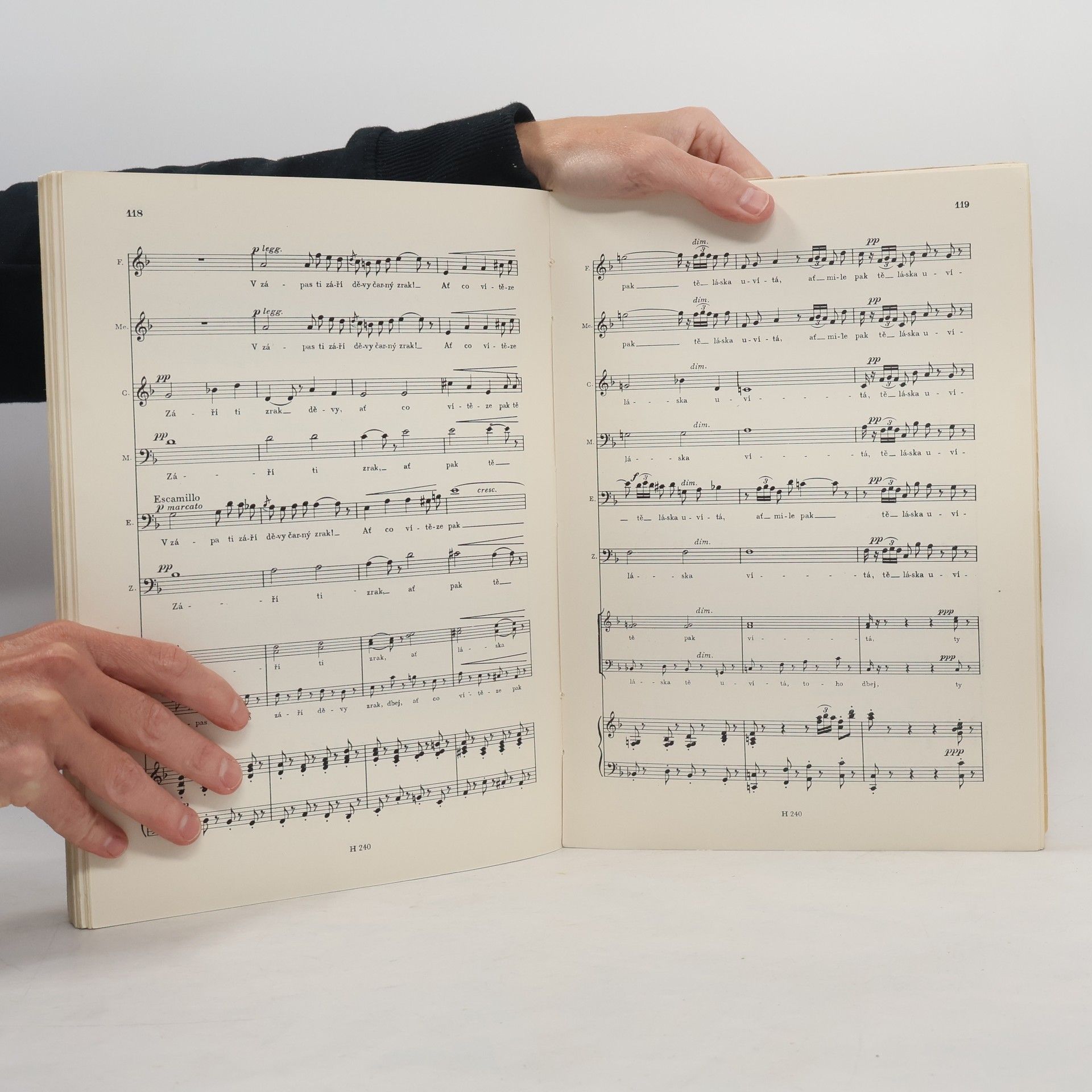 Georges Bizet Carmen