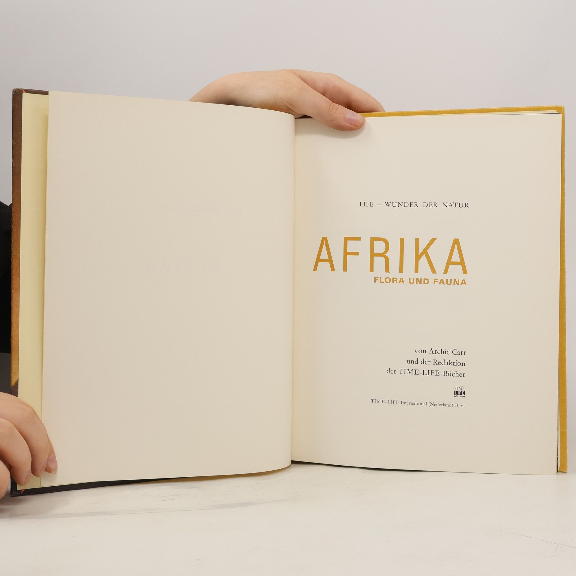 Autorenkollektiv Afrika. Flora und Fauna