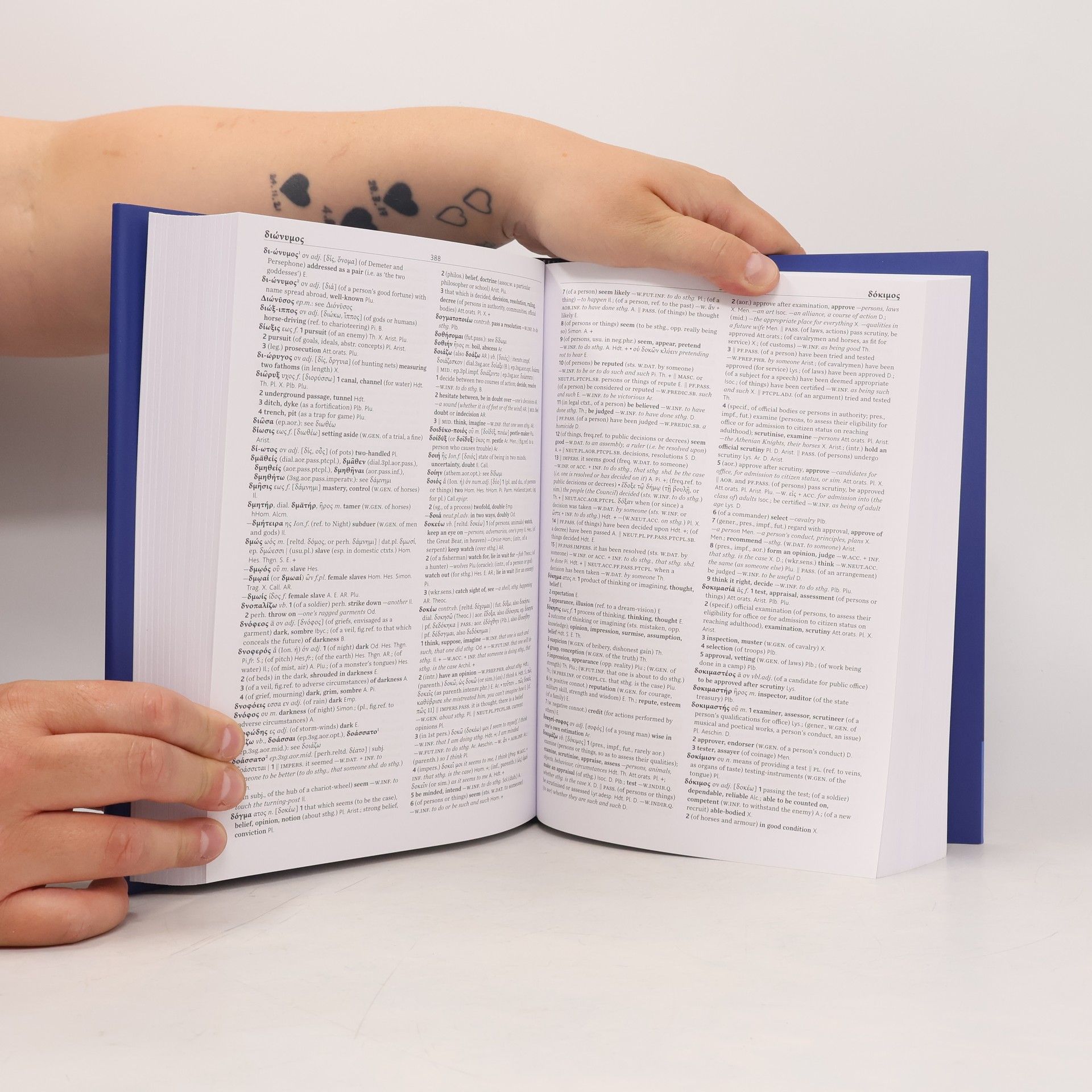 James Diggle The Cambridge Greek Lexicon