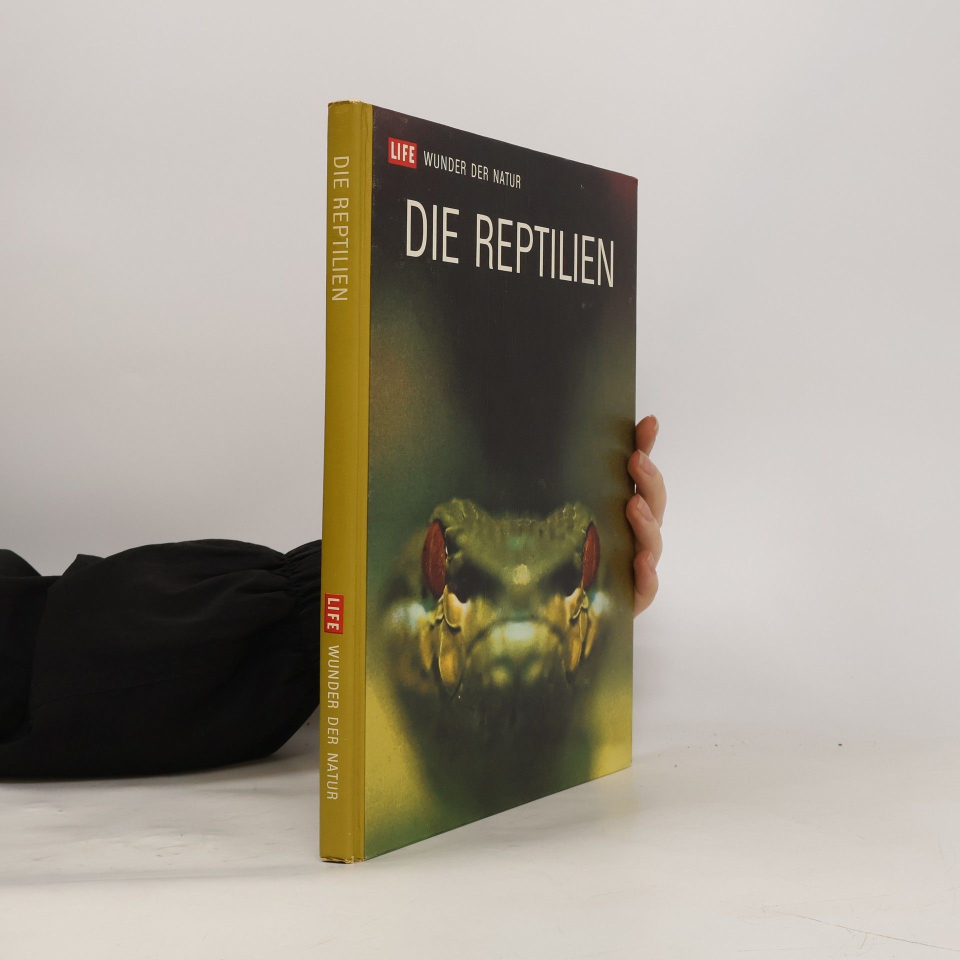 Autorenkollektiv Die Reptilien
