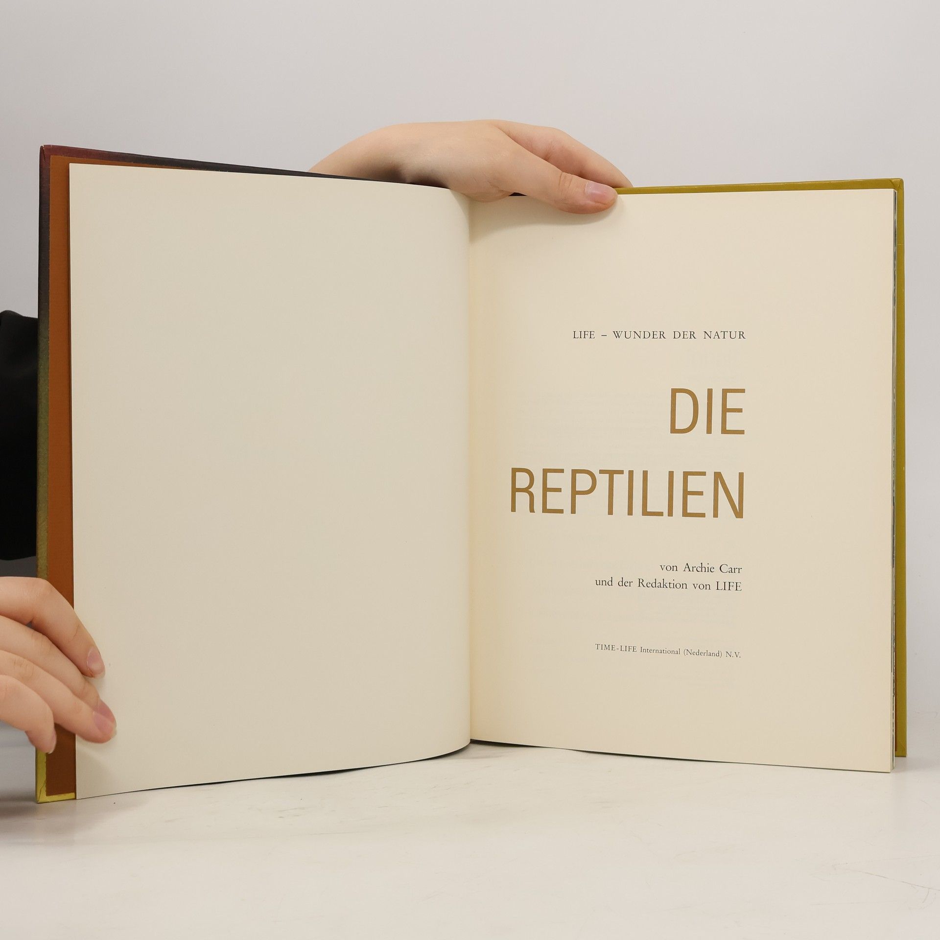 Autorenkollektiv Die Reptilien