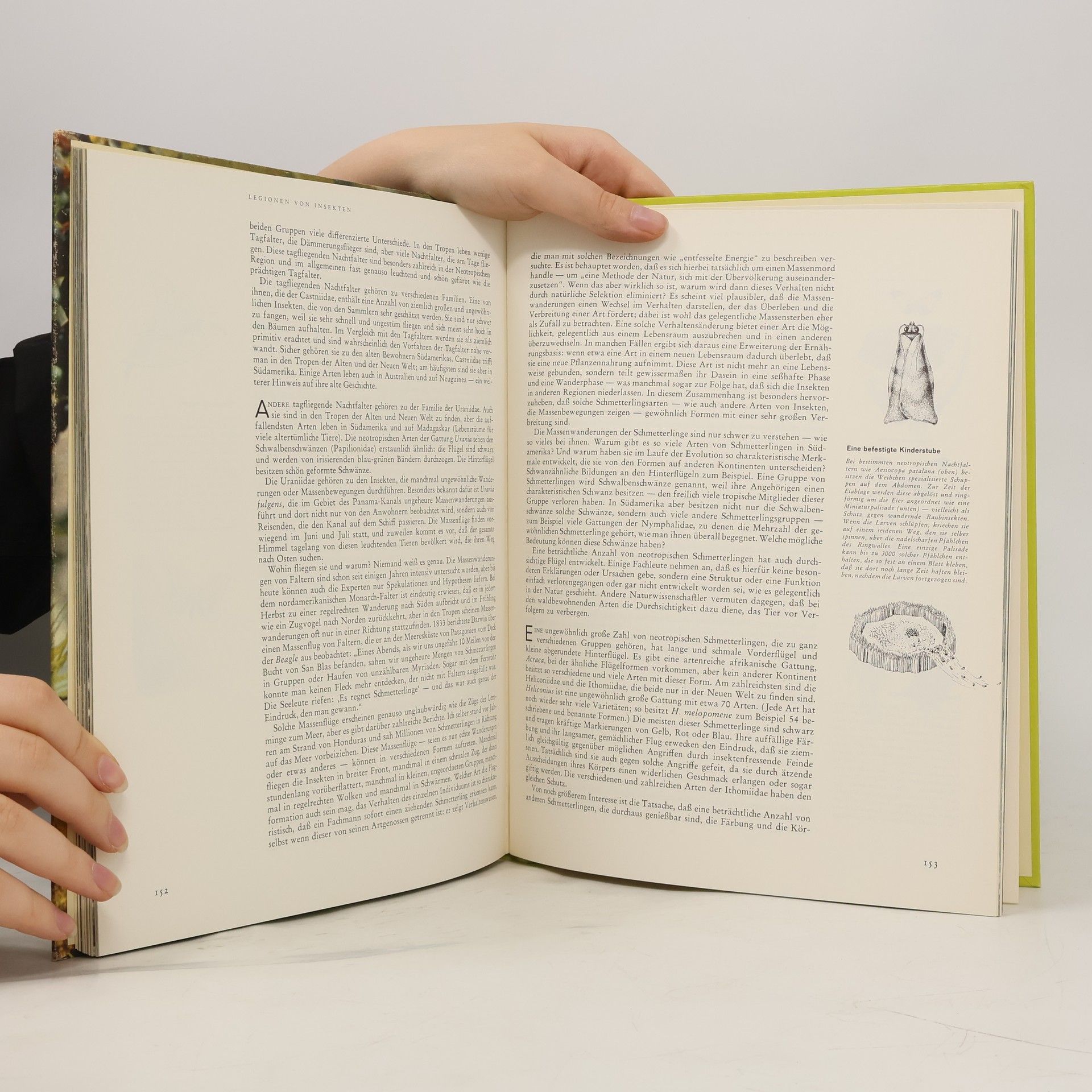 Autorenkollektiv Südamerika. Flora und Fauna