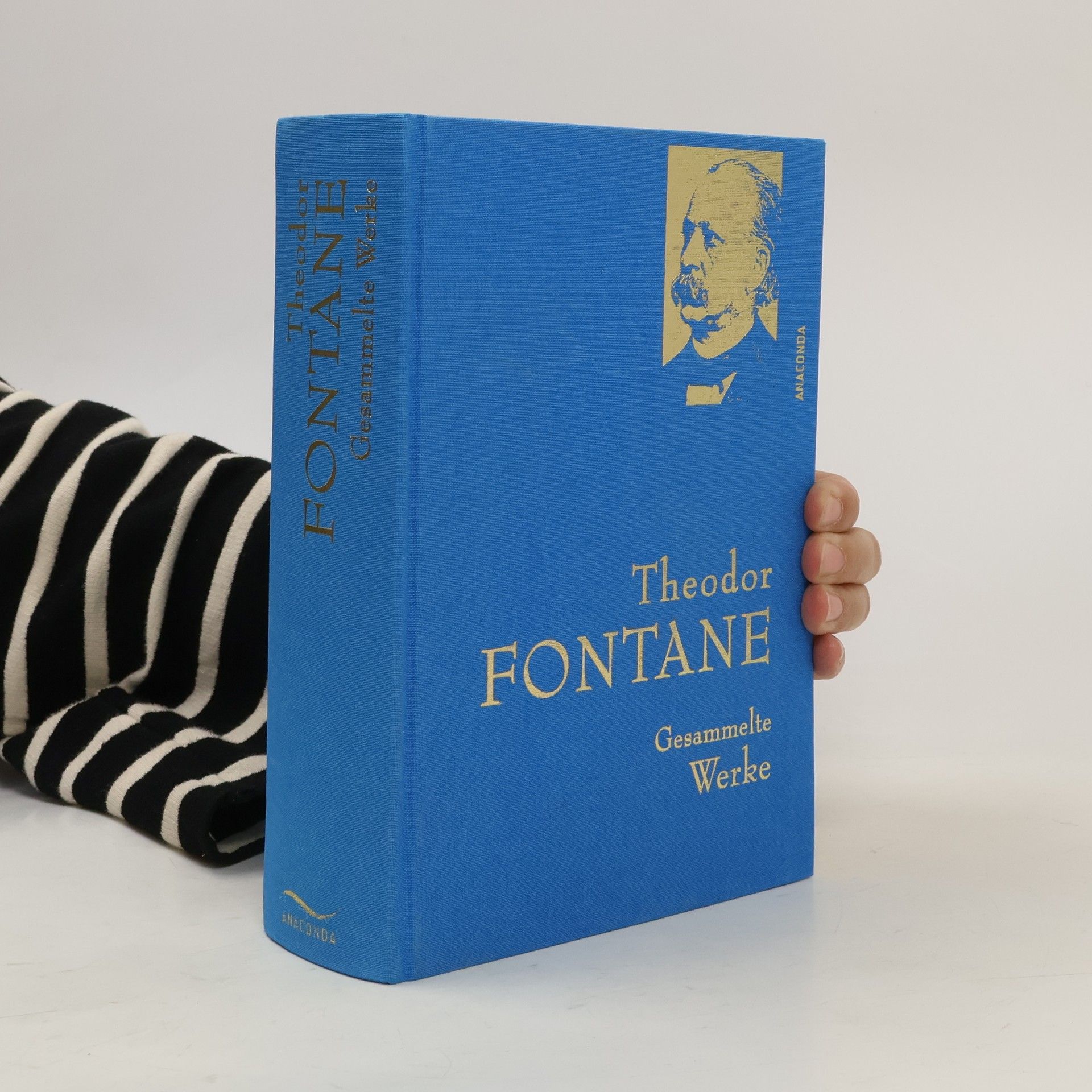 Theodor Fontane Gesammelte Werke