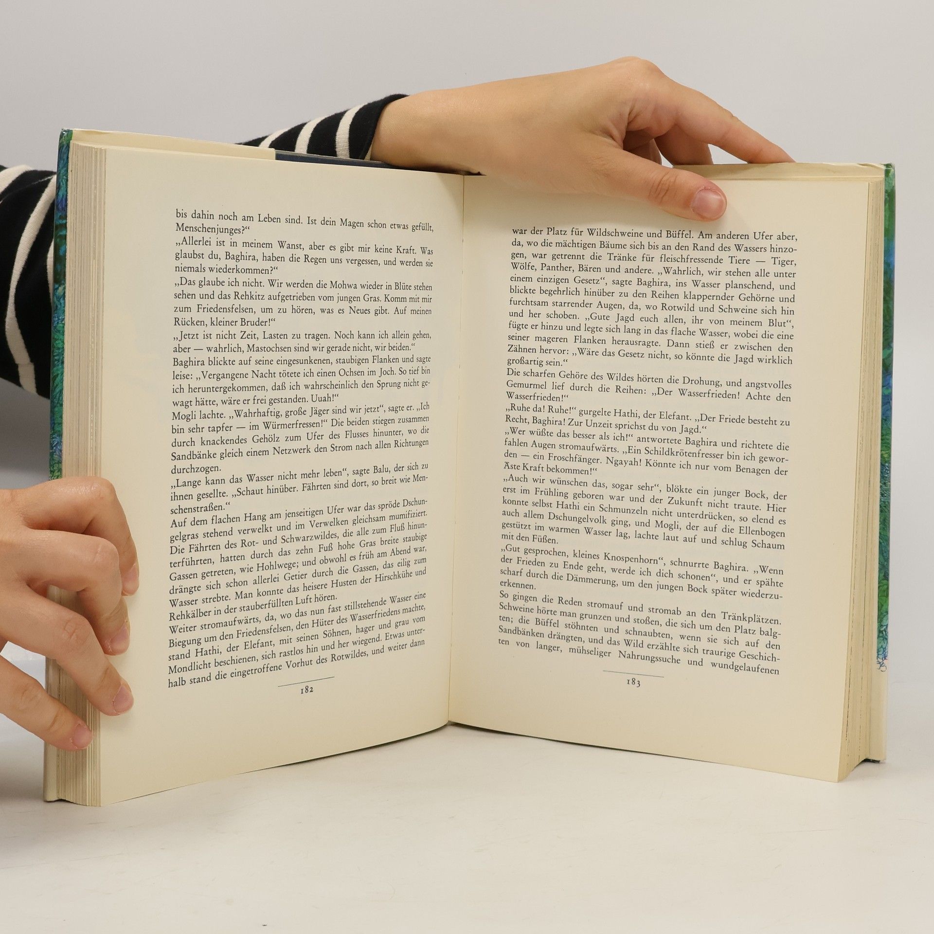 Rudyard Kipling Die Dschungelbücher