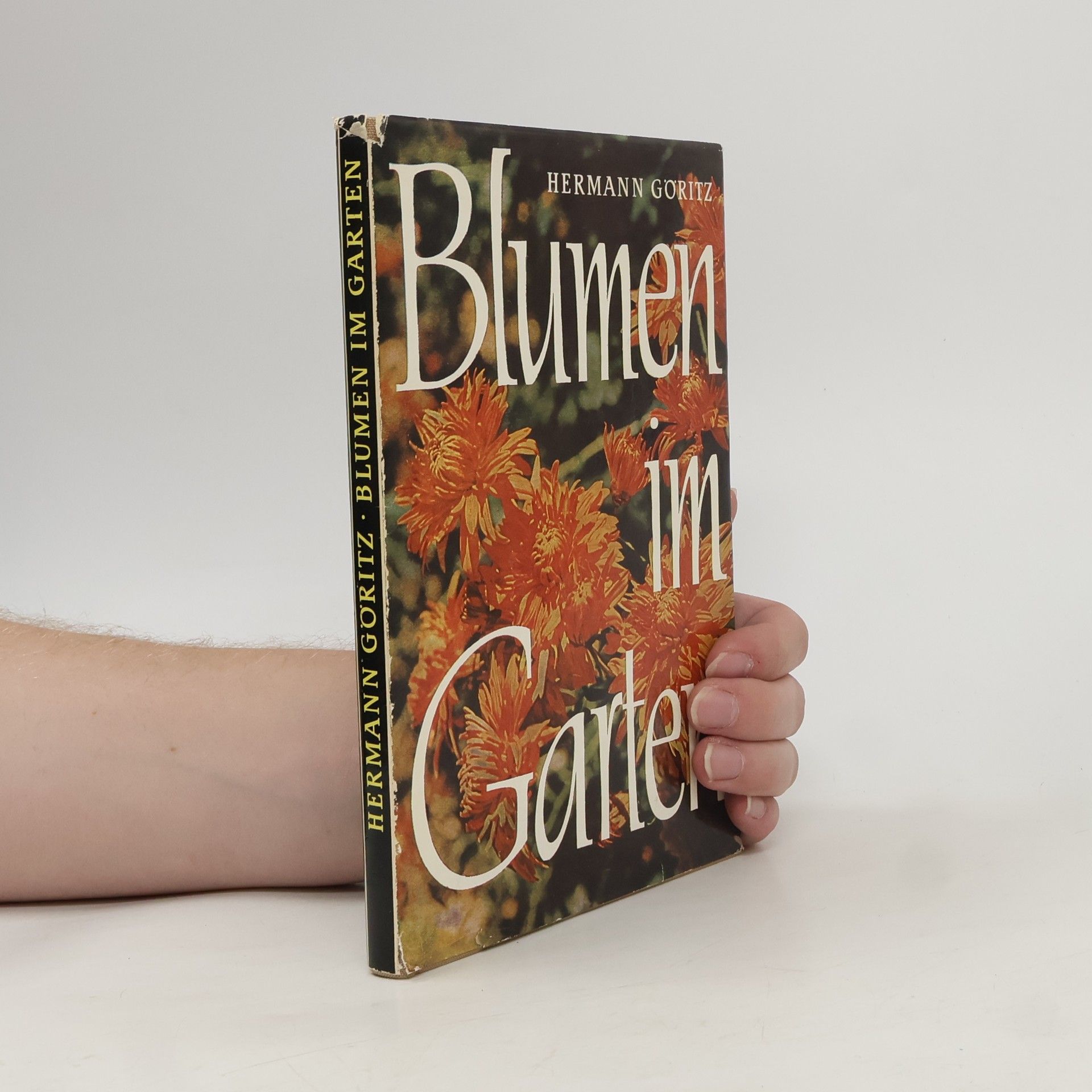 Hermann Göritz Blumen im Garten