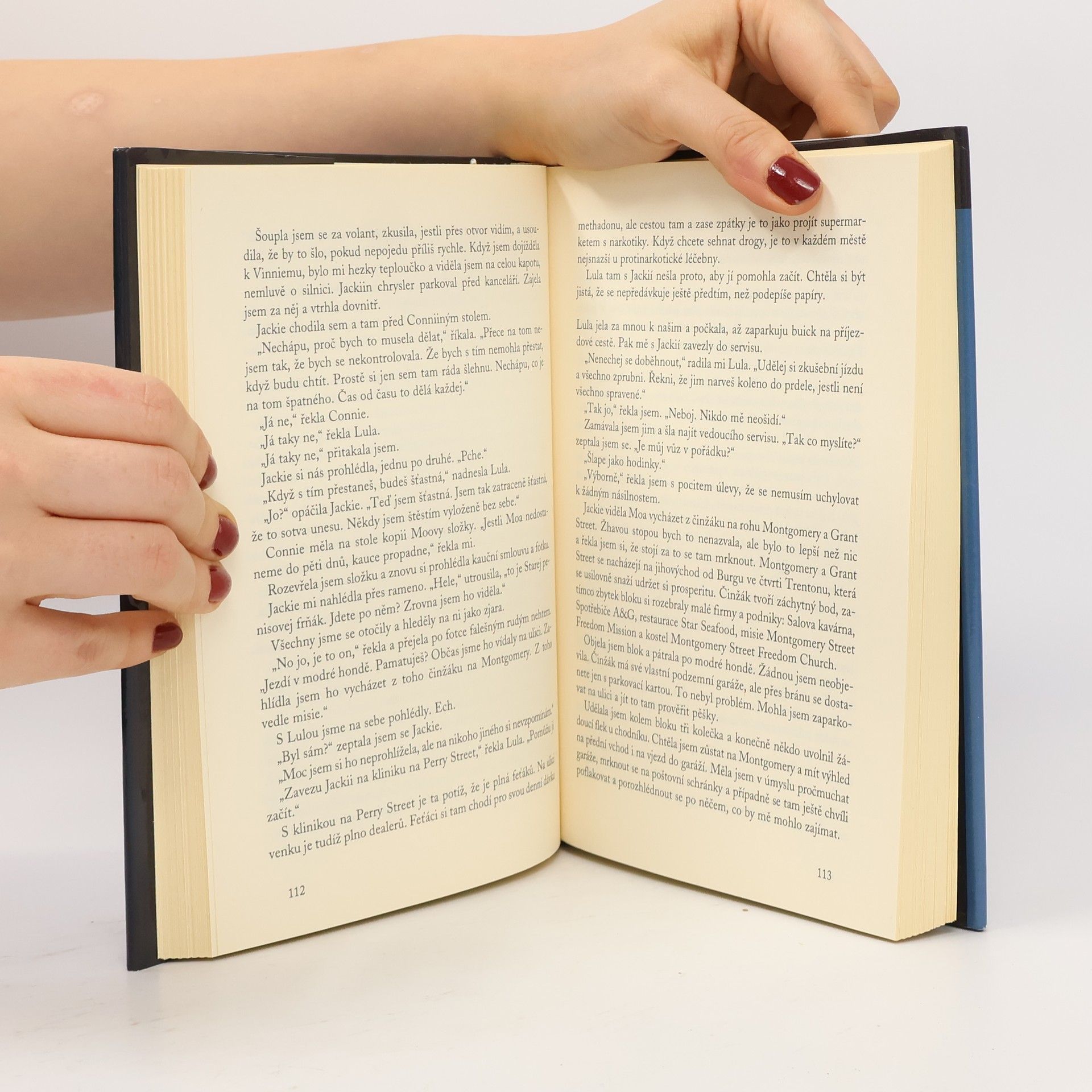 Janet Evanovich Než bys do tří napočítal