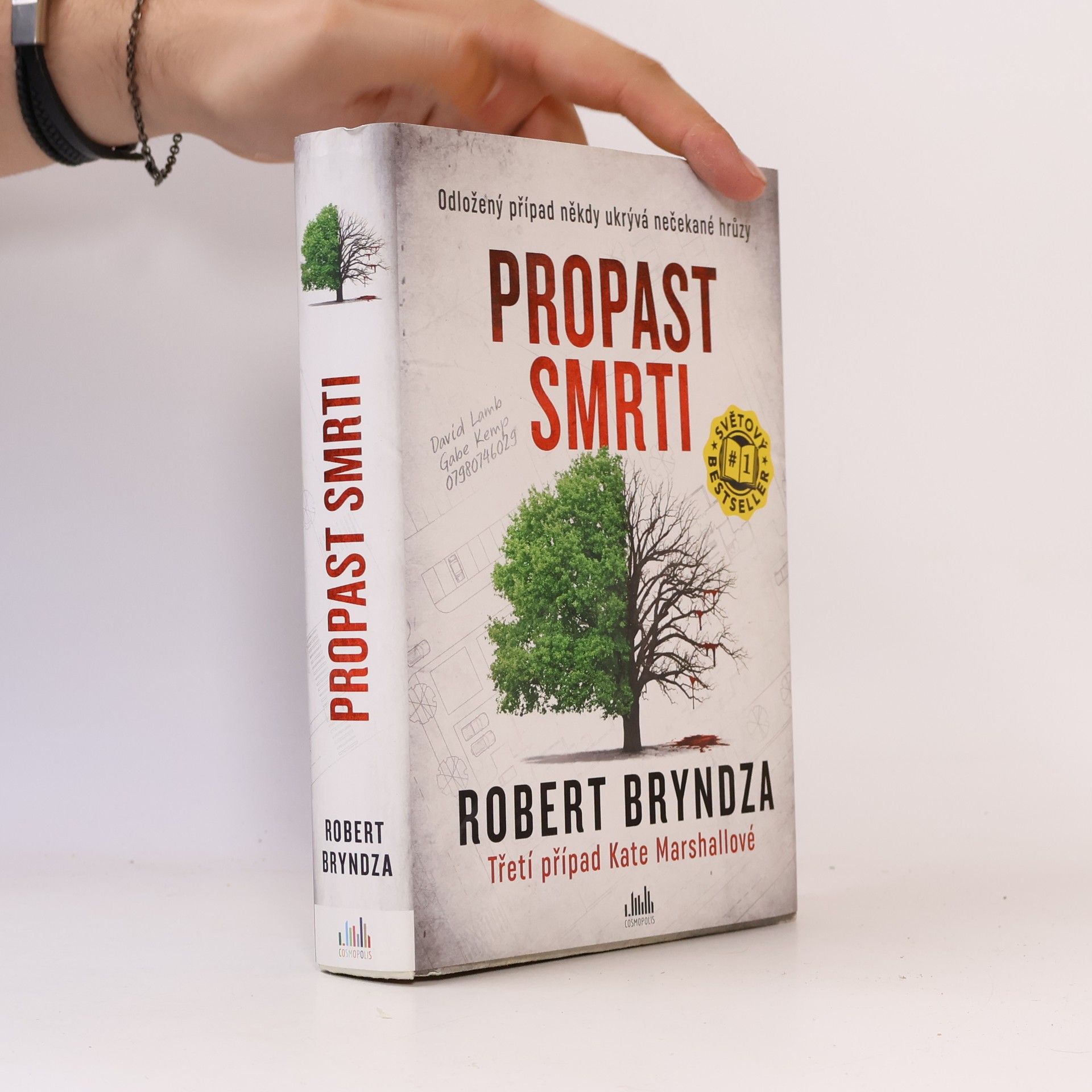Robert Bryndza Propast smrti