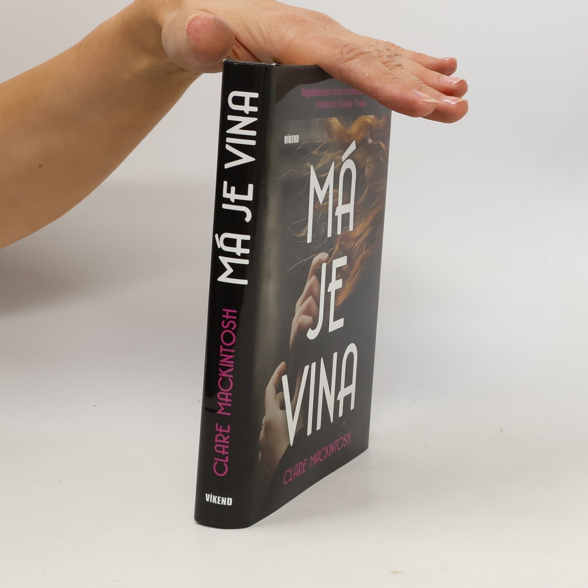 Clare Mackintosh Má je vina