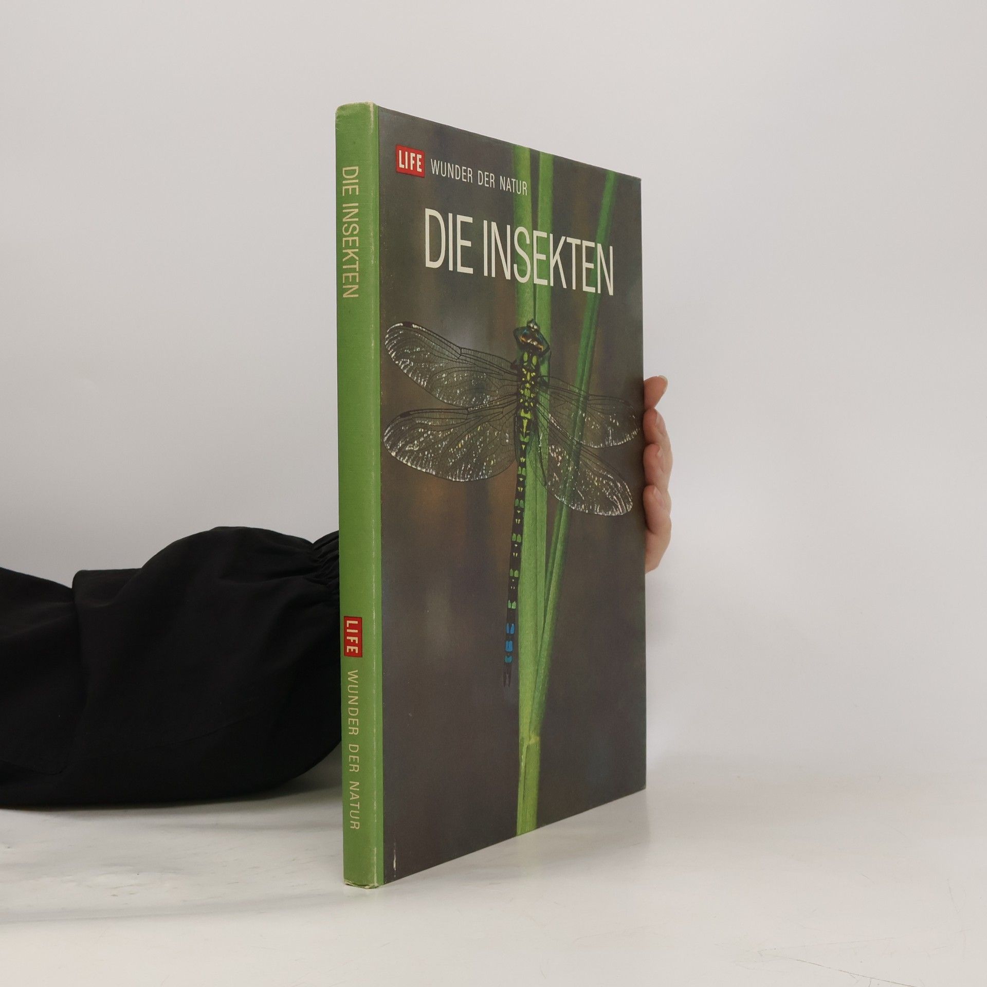 Autorenkollektiv Die Insekten