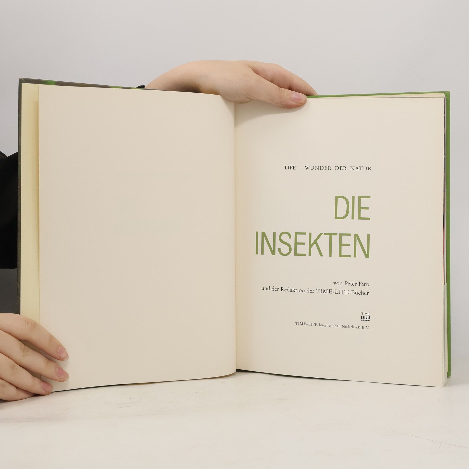 Autorenkollektiv Die Insekten