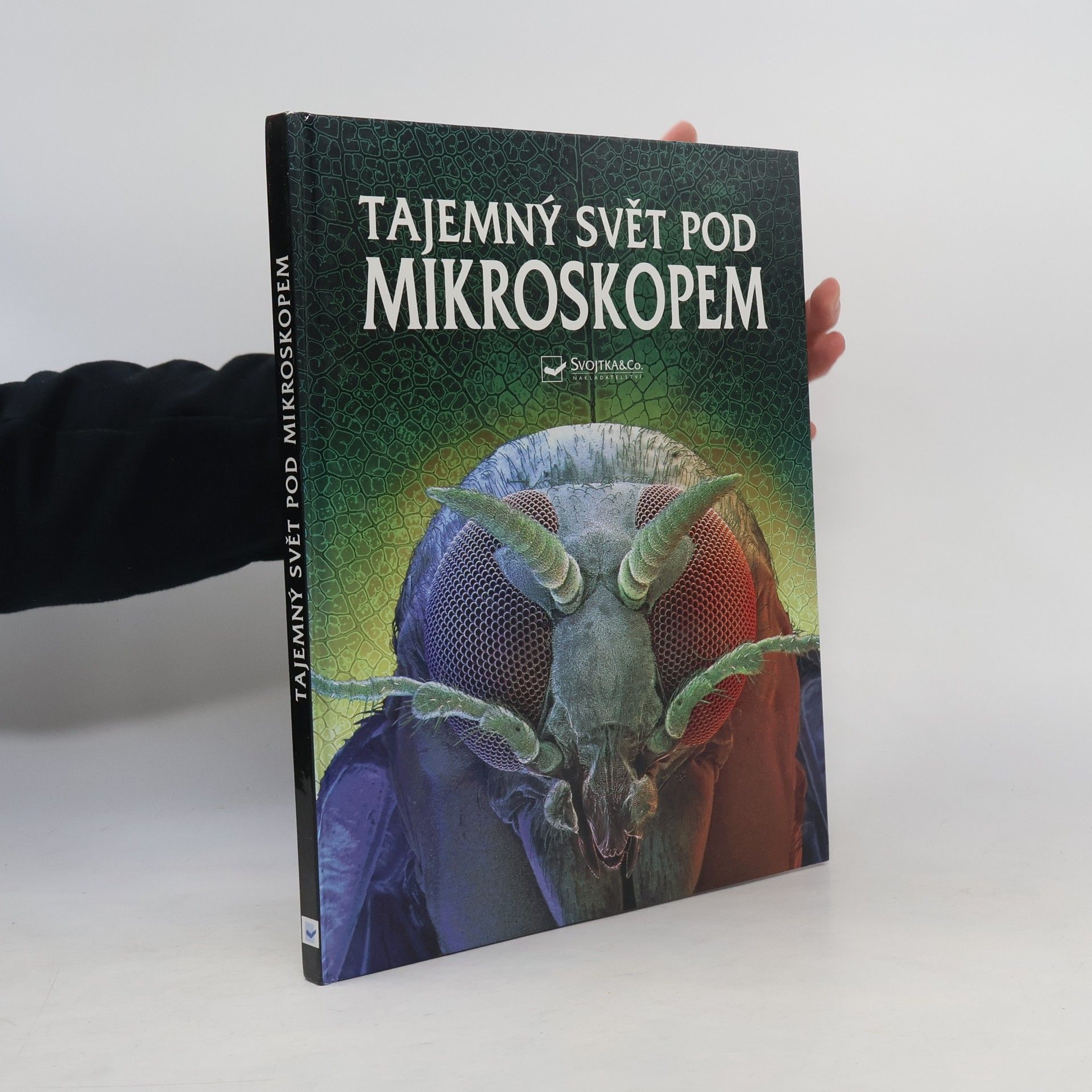 Kirsteen Rogers Tajemný svět pod mikroskopem